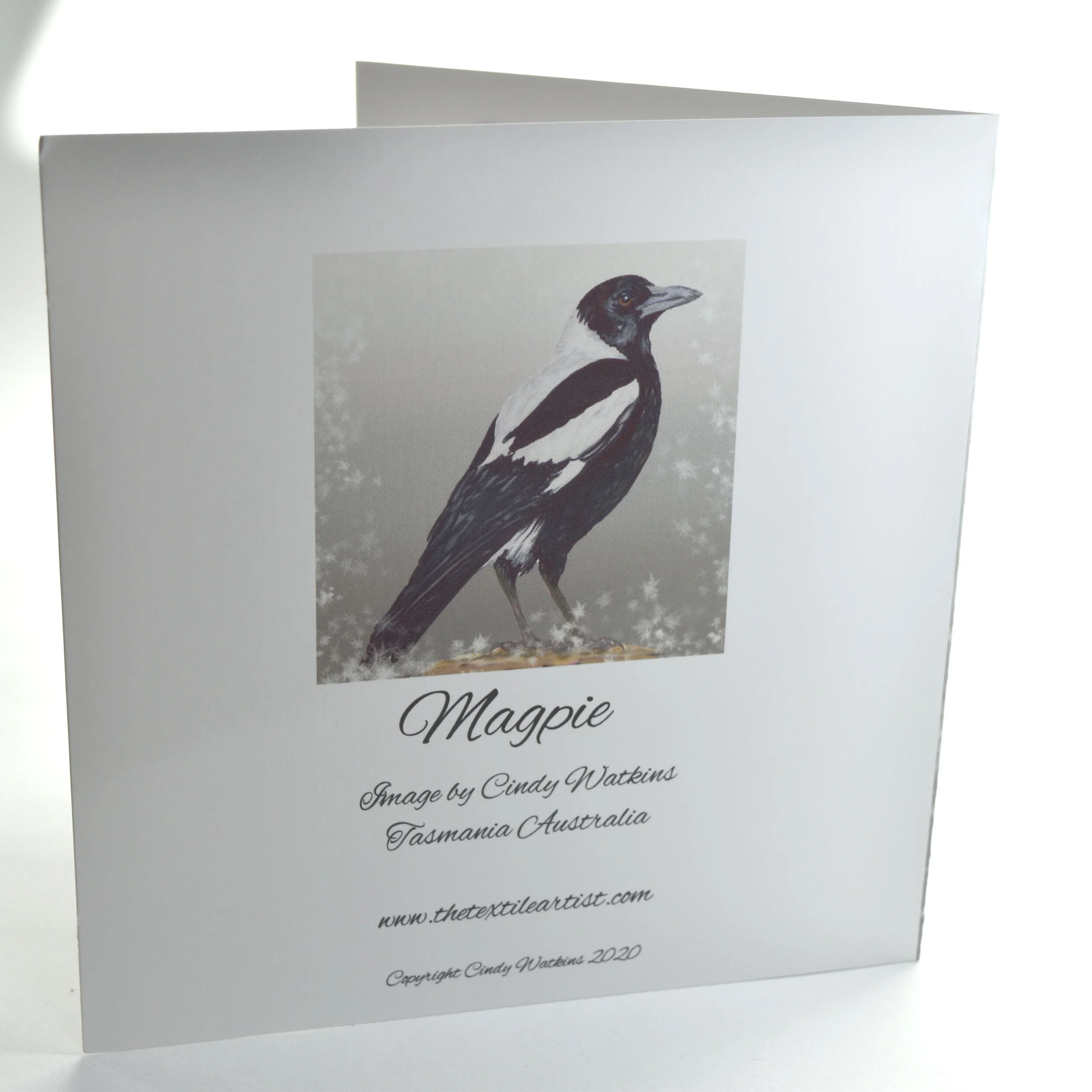 magpie b.jpg