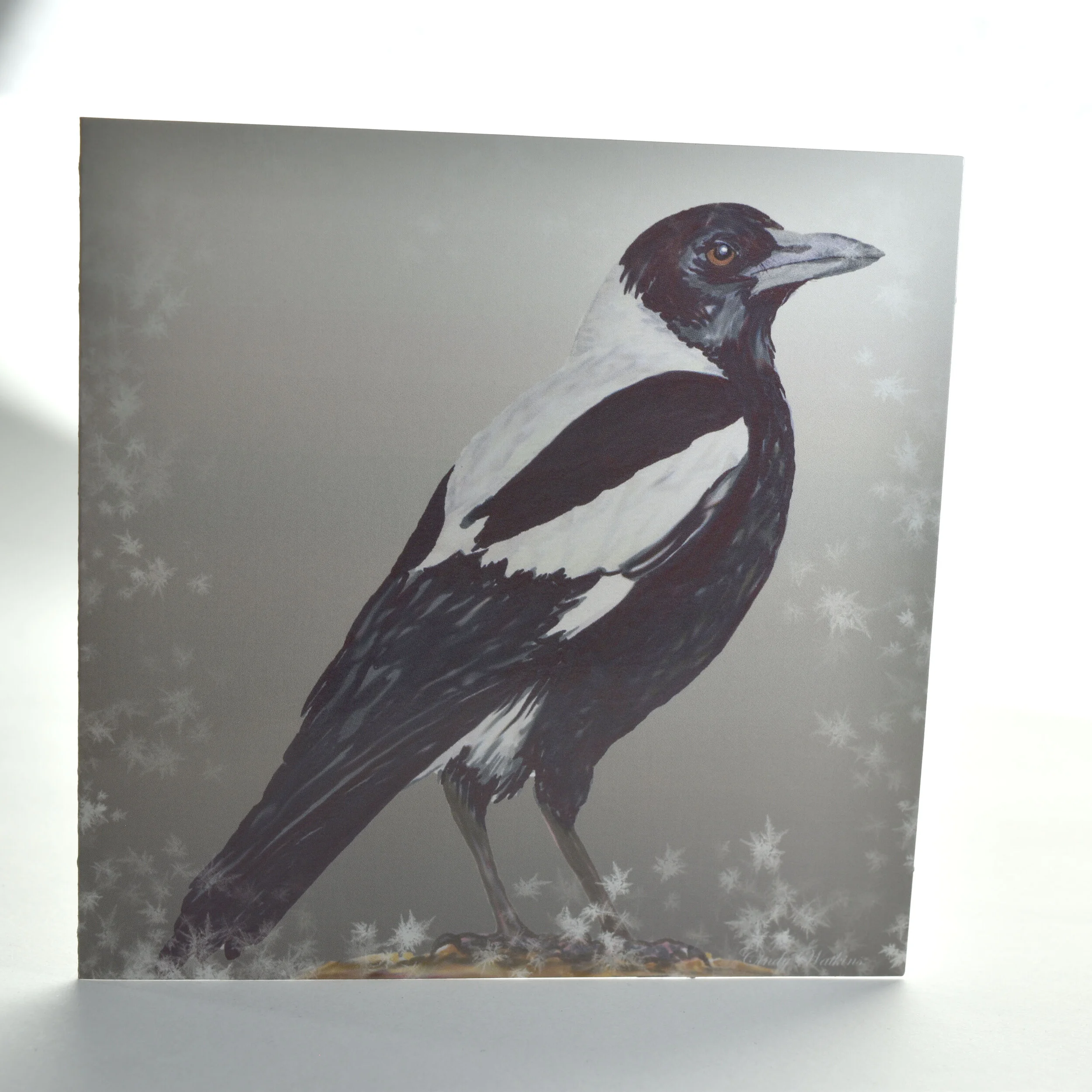 magpie a.jpg