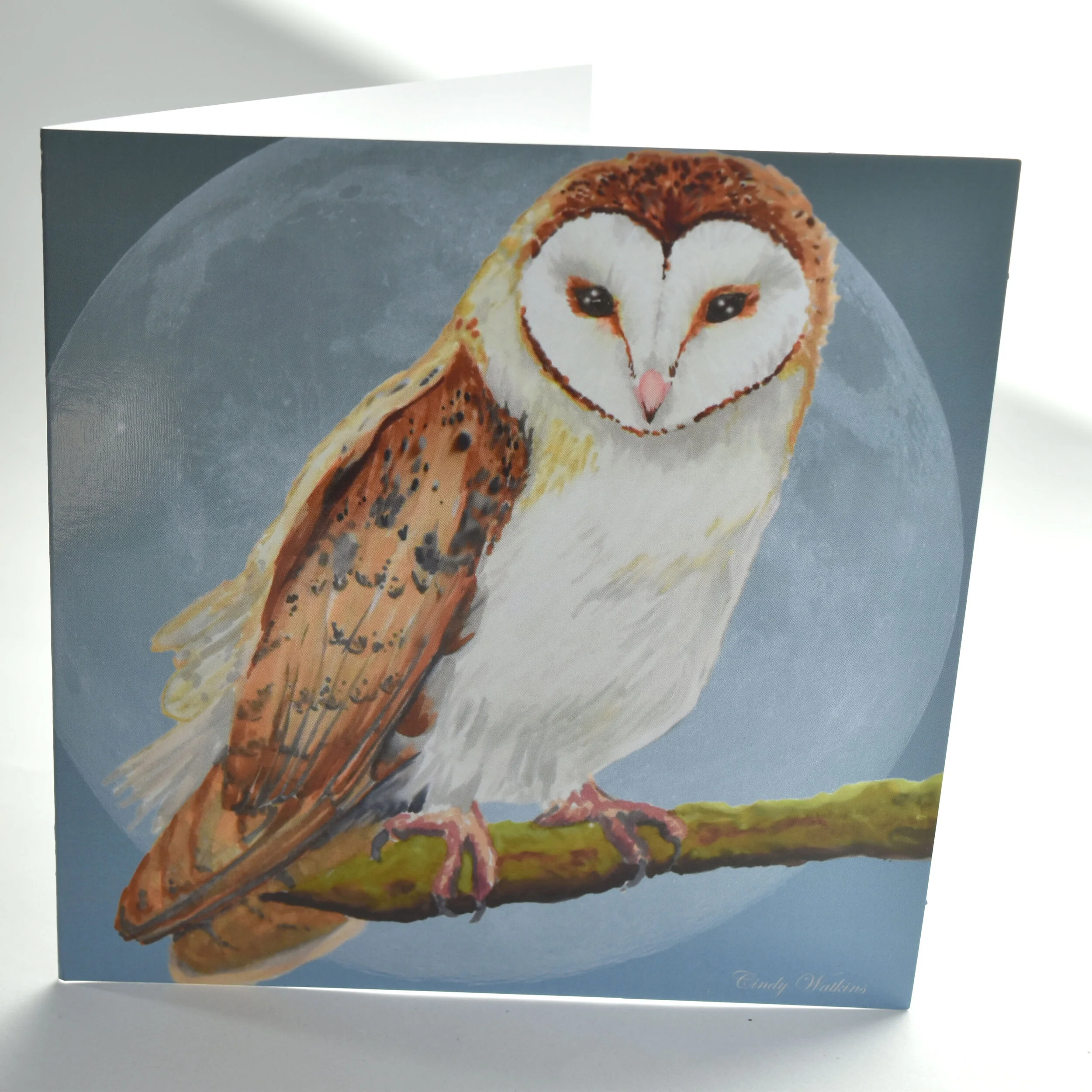owl a.jpg