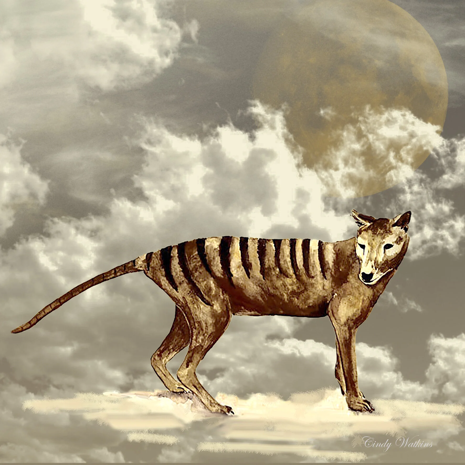tiger MOON.jpg