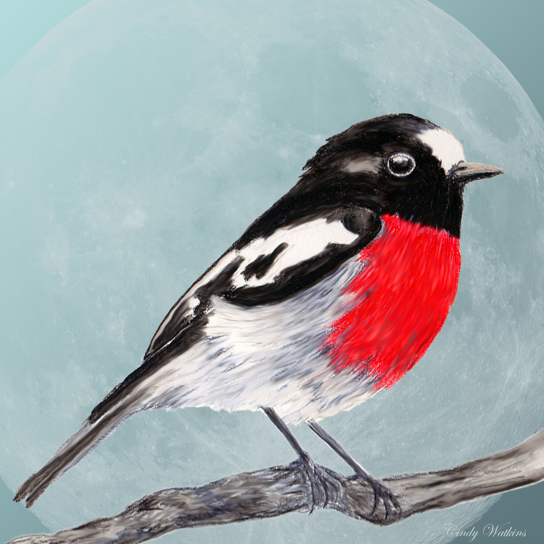 robin with moon back drop.jpg