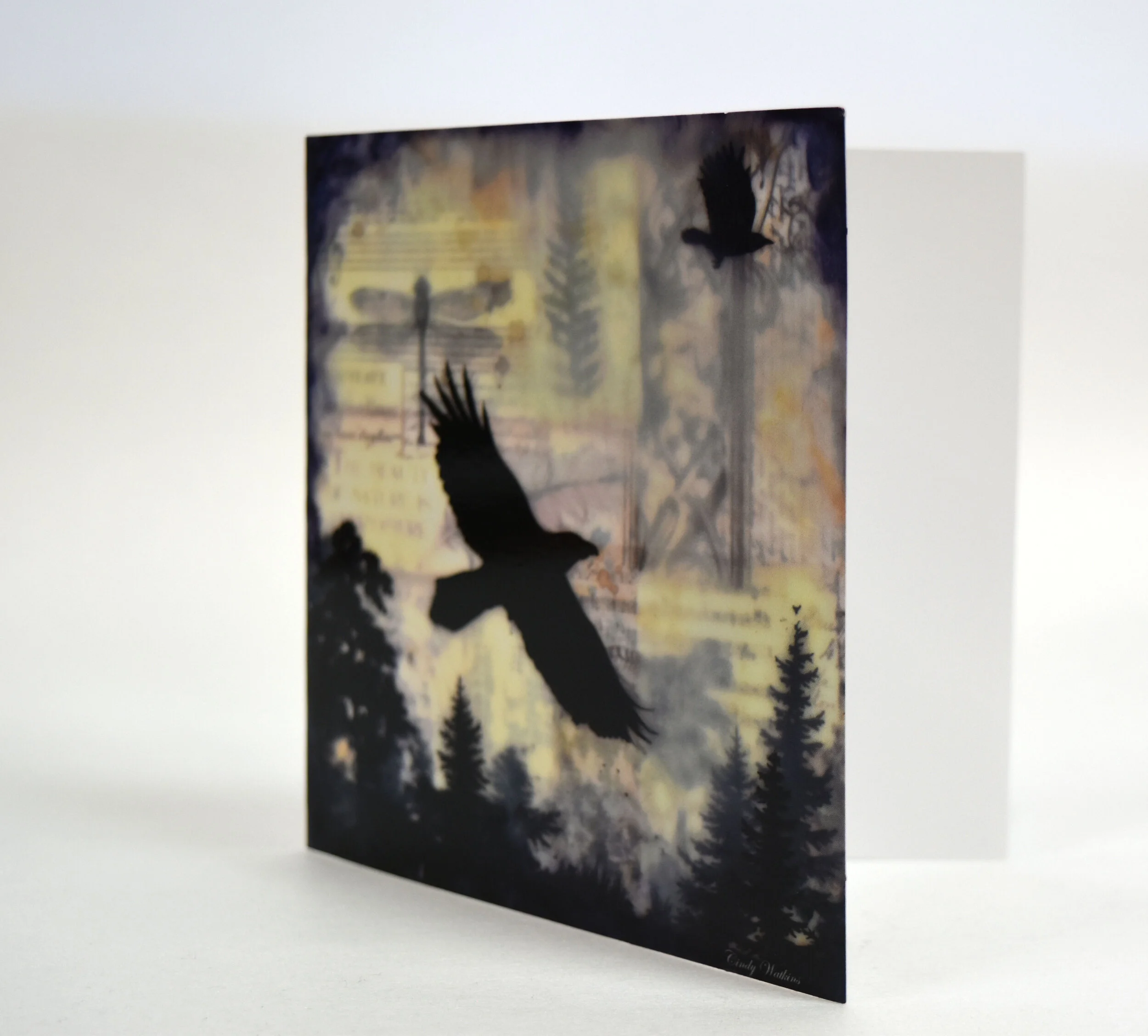 raven in light 1.jpg