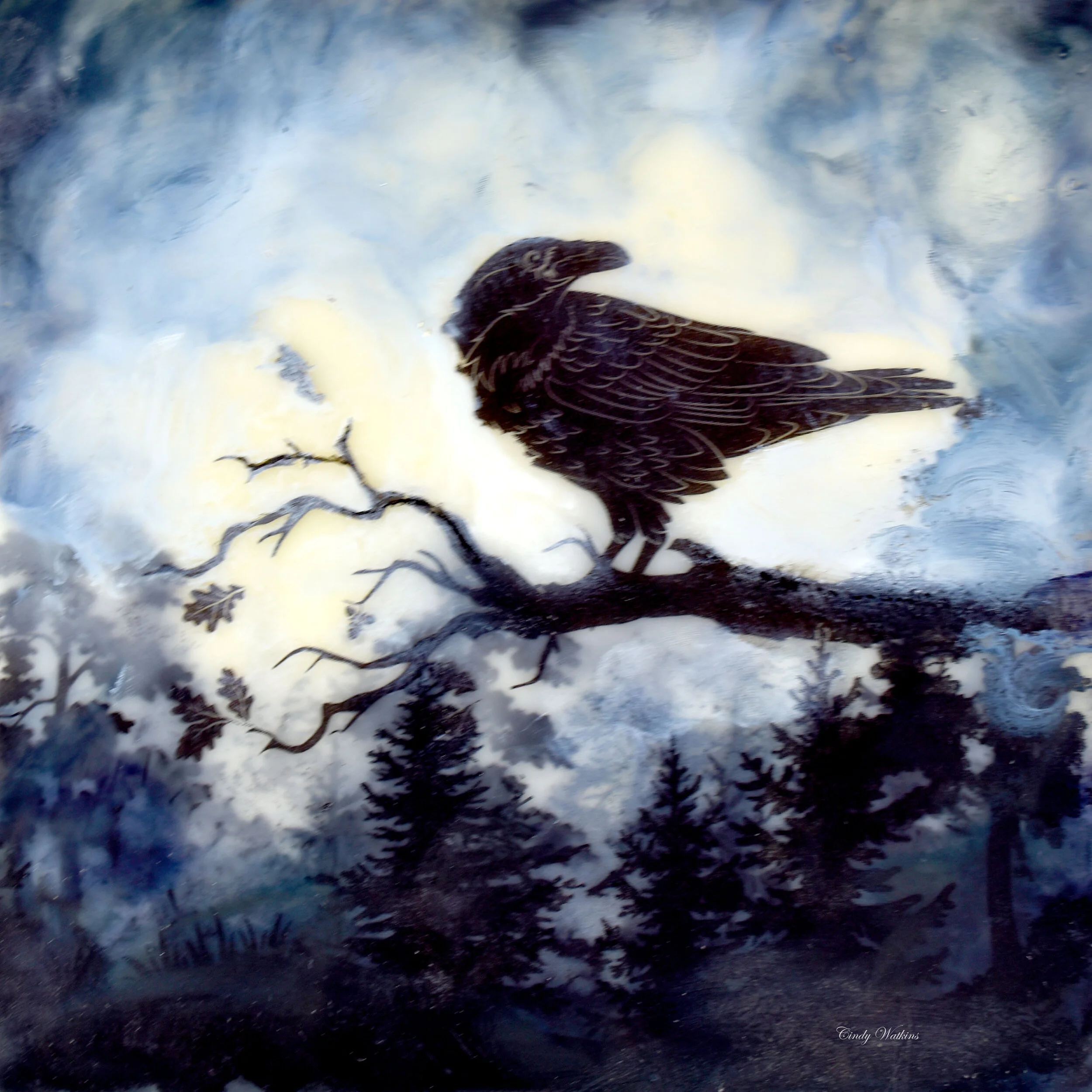 raven 5.jpg