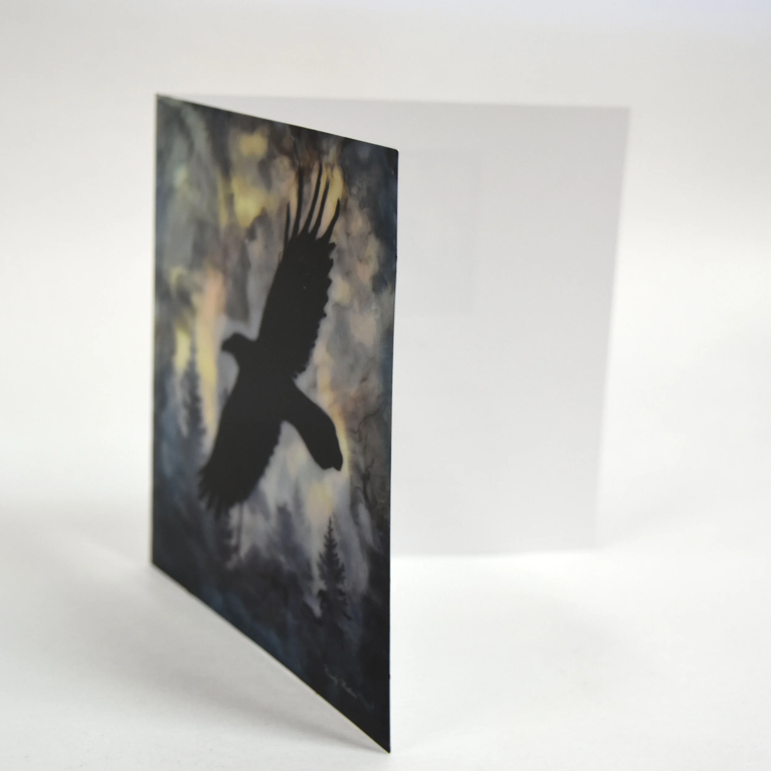 on raven wing 1.jpg