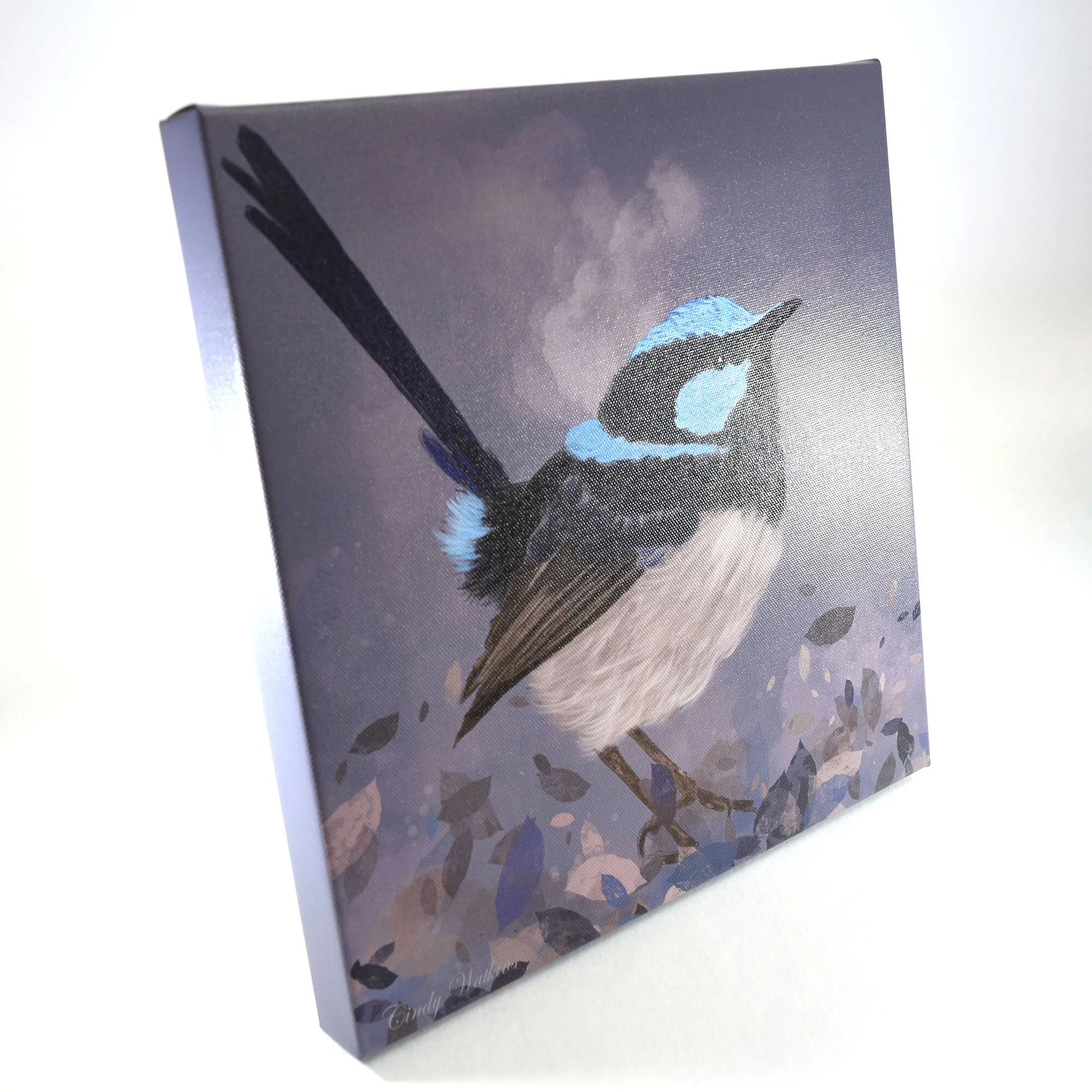 blue wren side.jpg