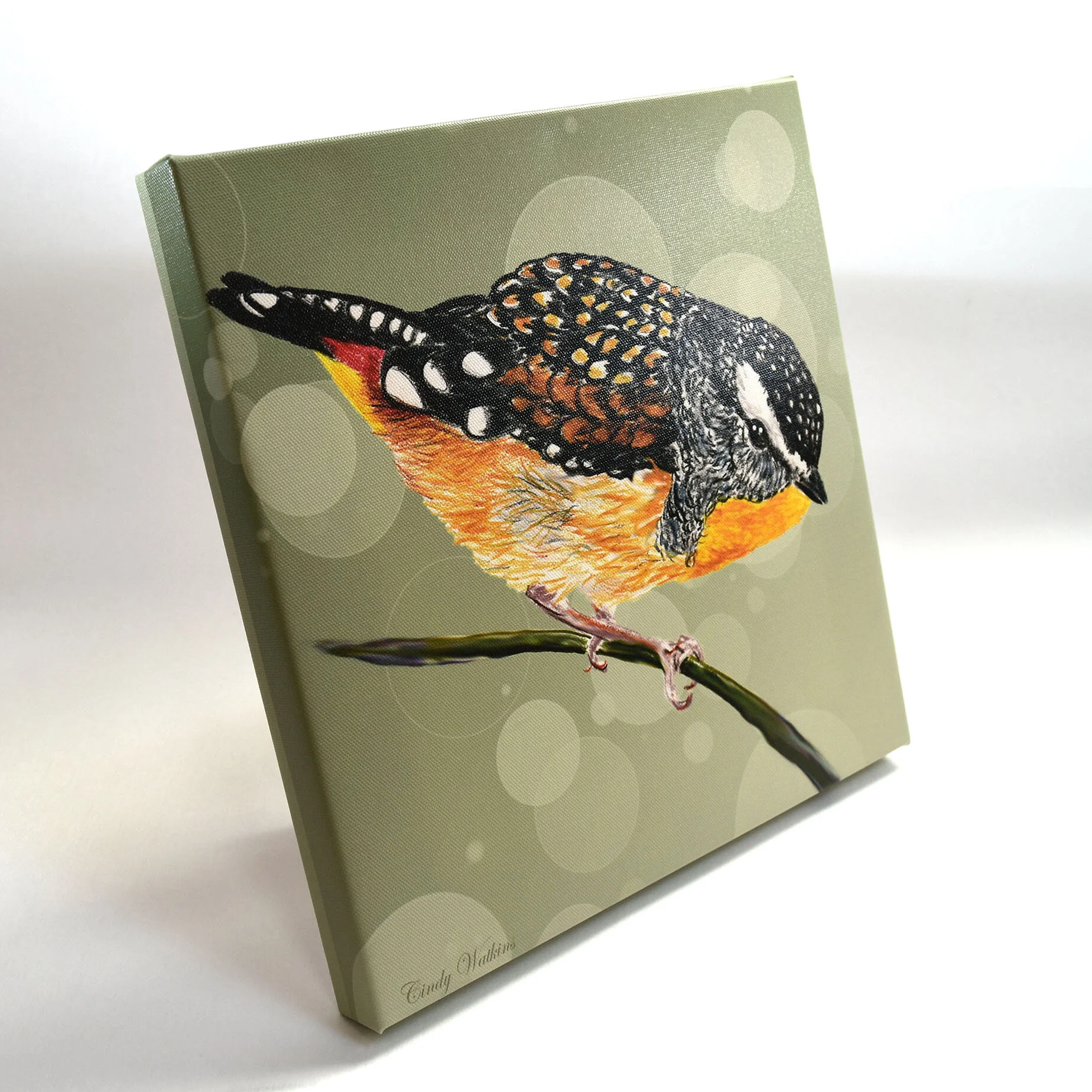 pardolote 2 side.jpg