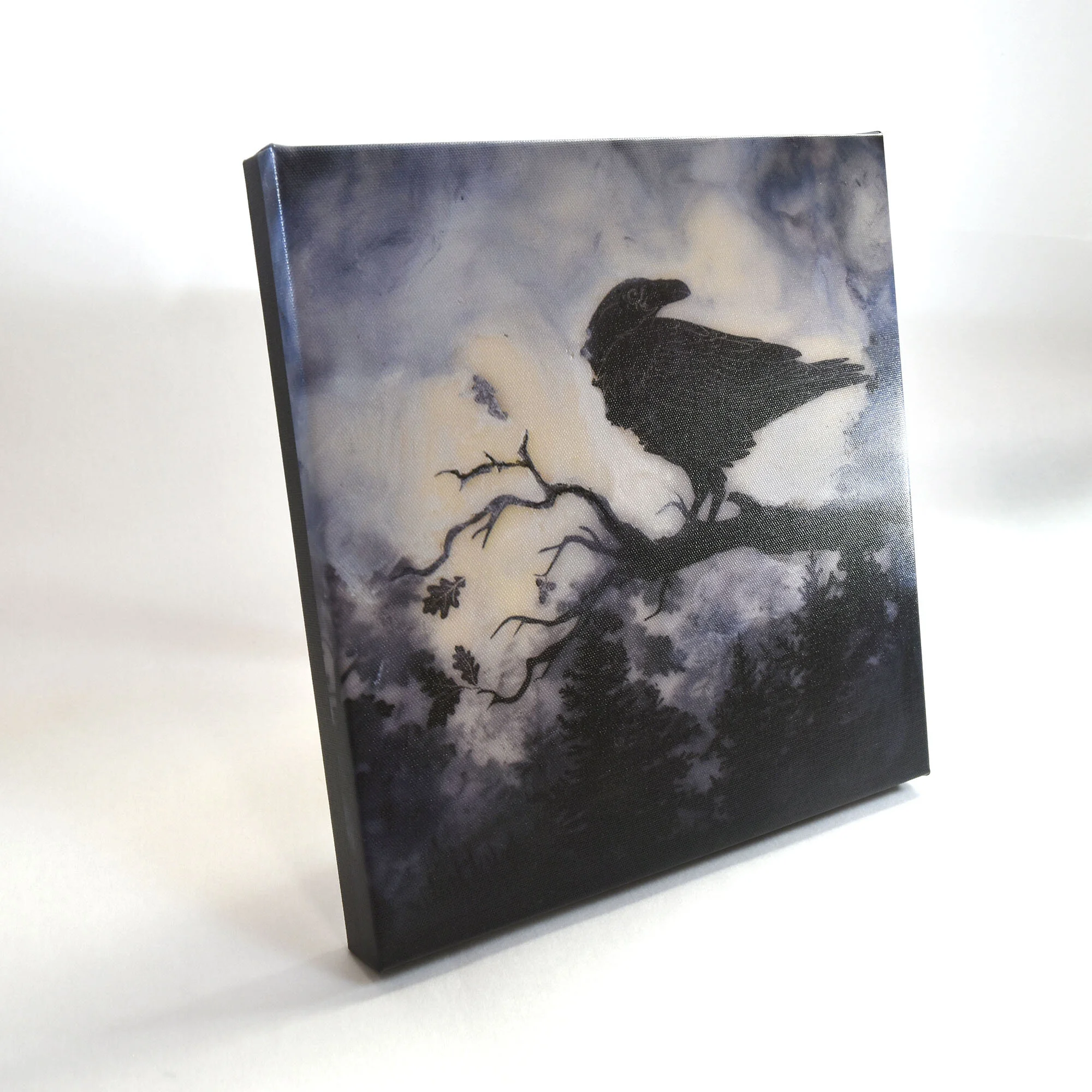 raven side 1.jpg