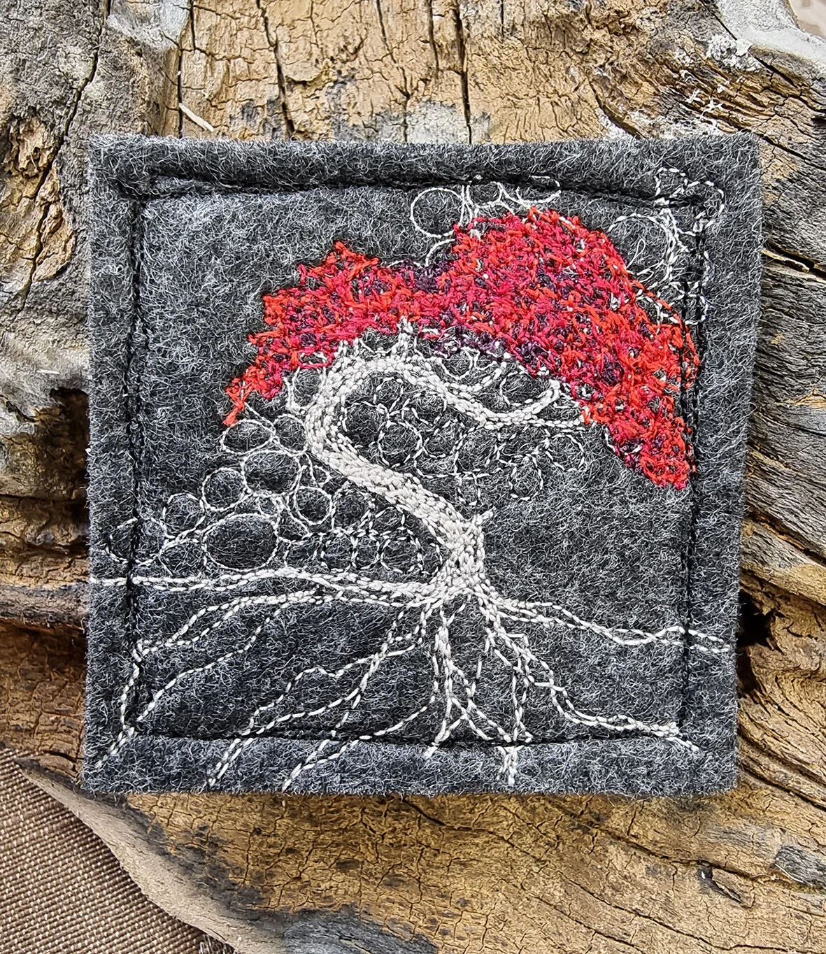 tree 2727 1.jpg