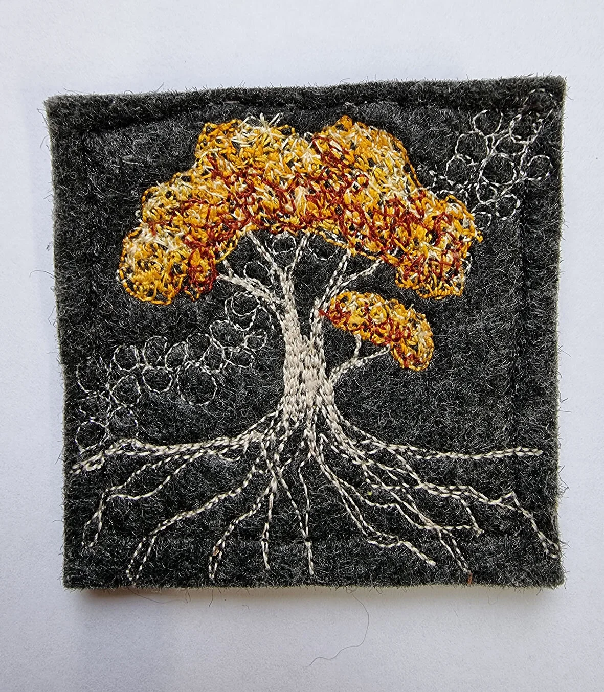 tree 2723 3.jpg