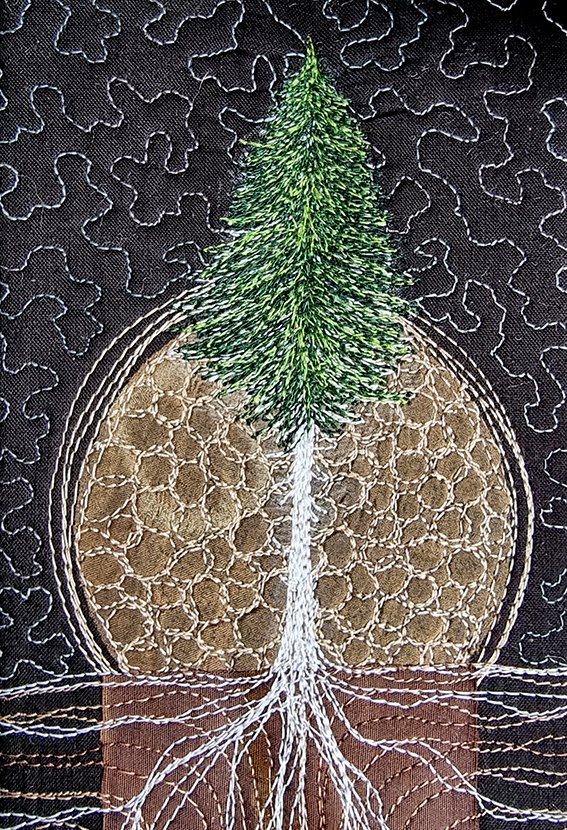 tree number 2776 close.jpg