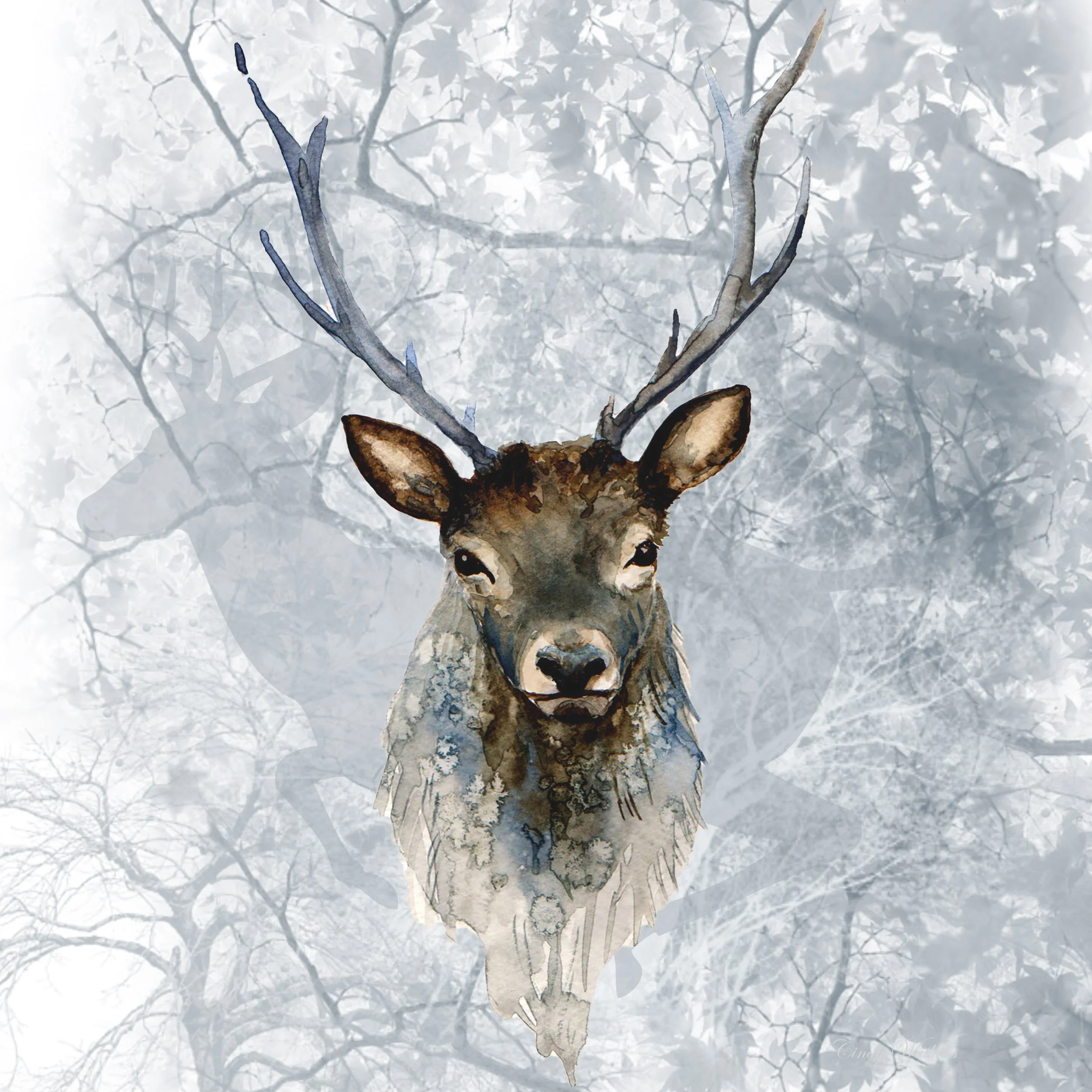 stag22..jpg
