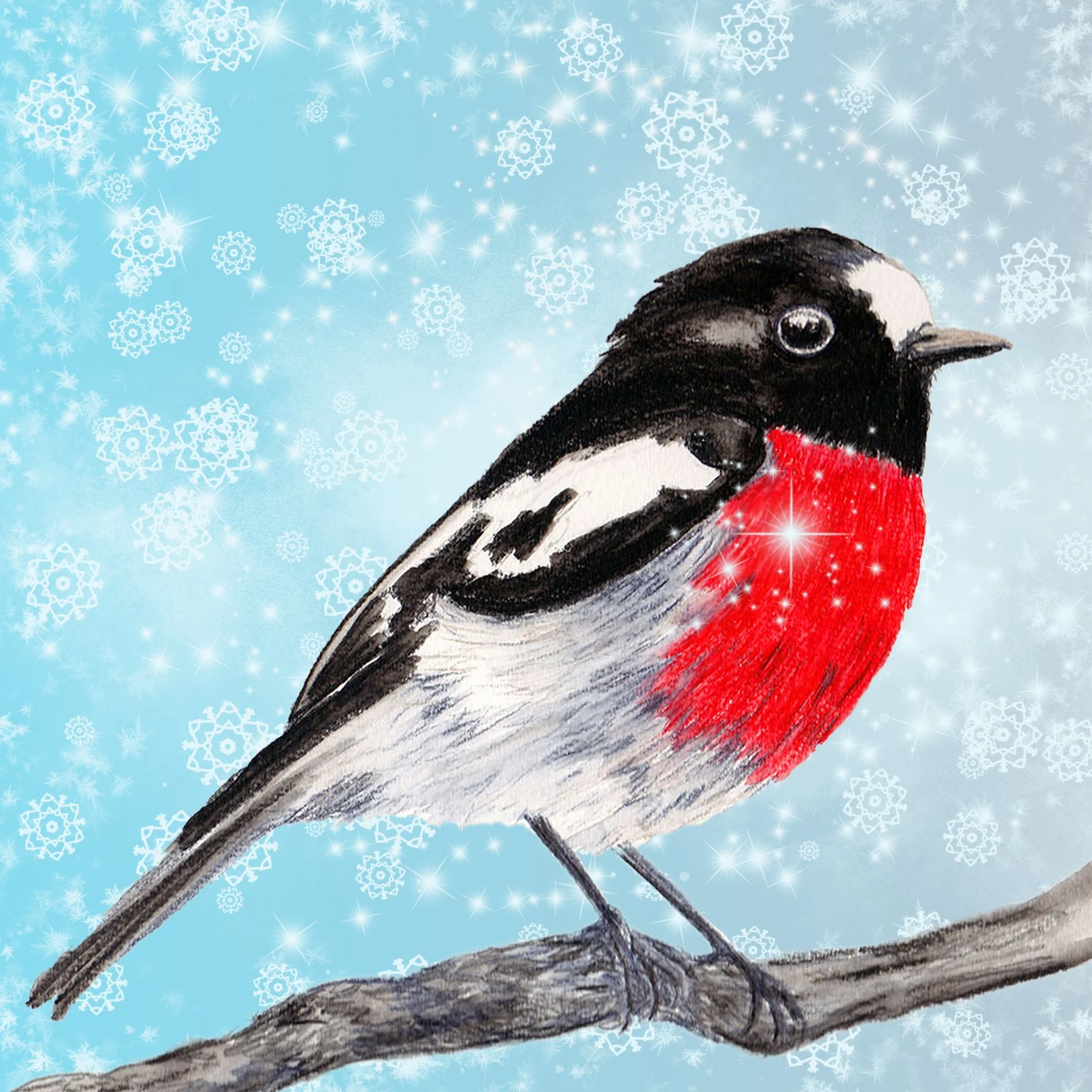 robin xmas.jpg