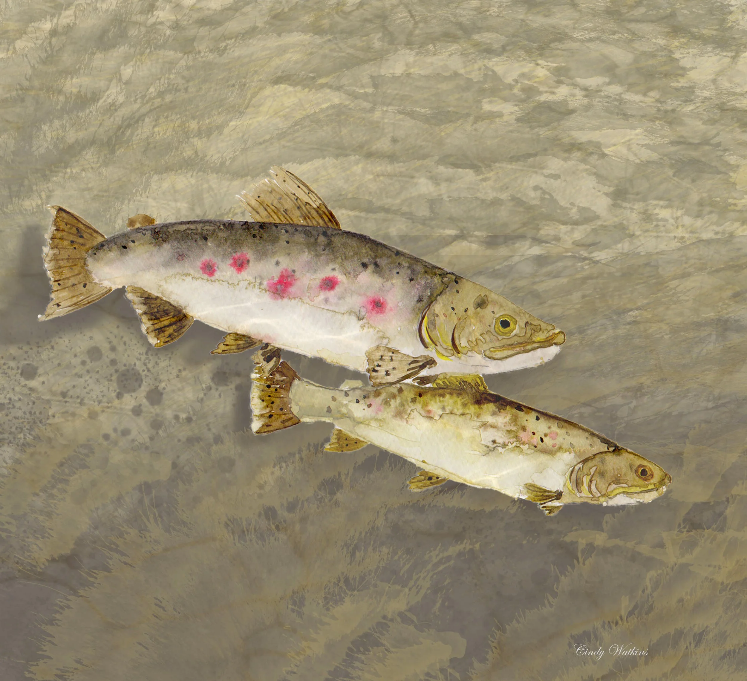 trout 2.jpg