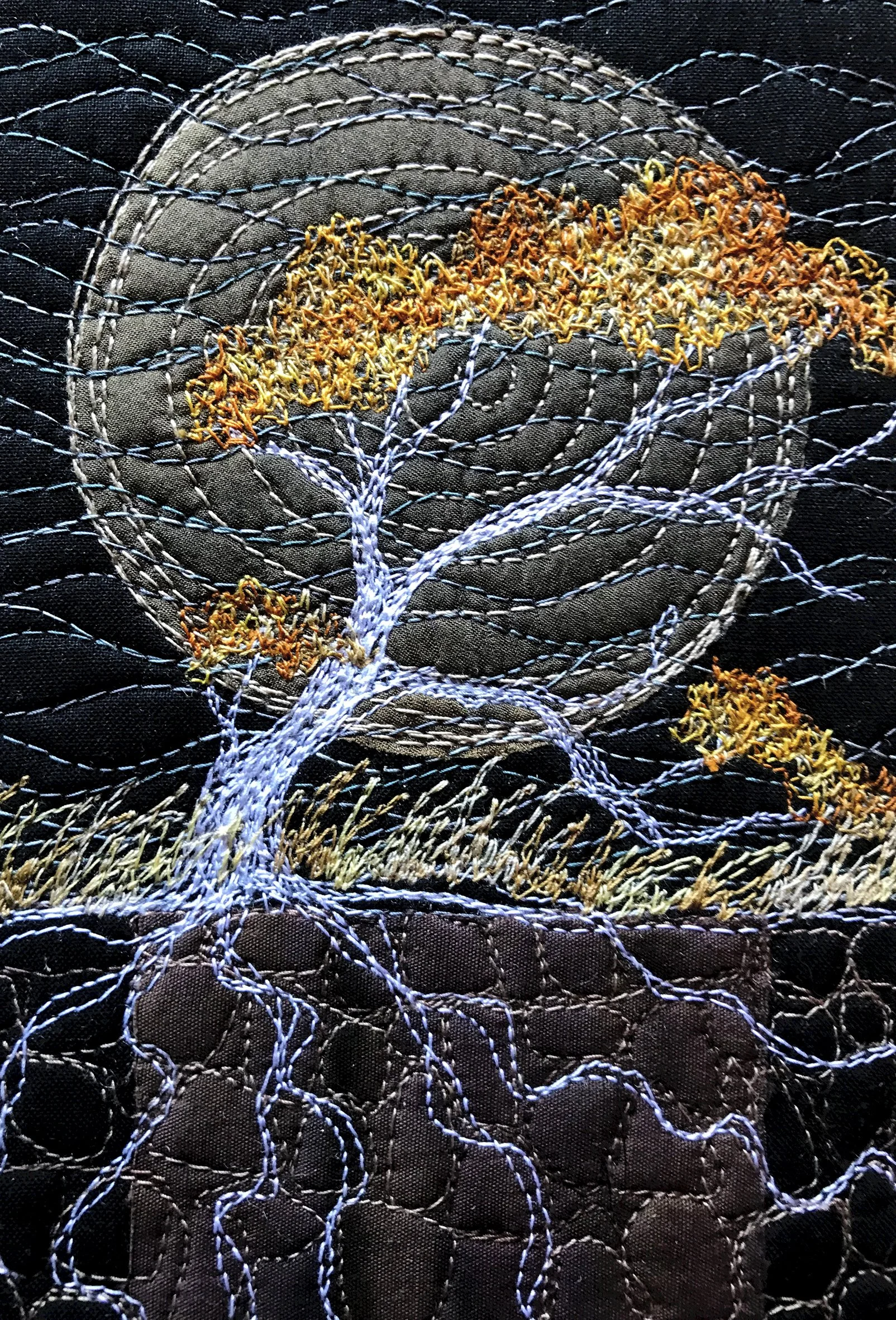 tree number 2816 close.jpg