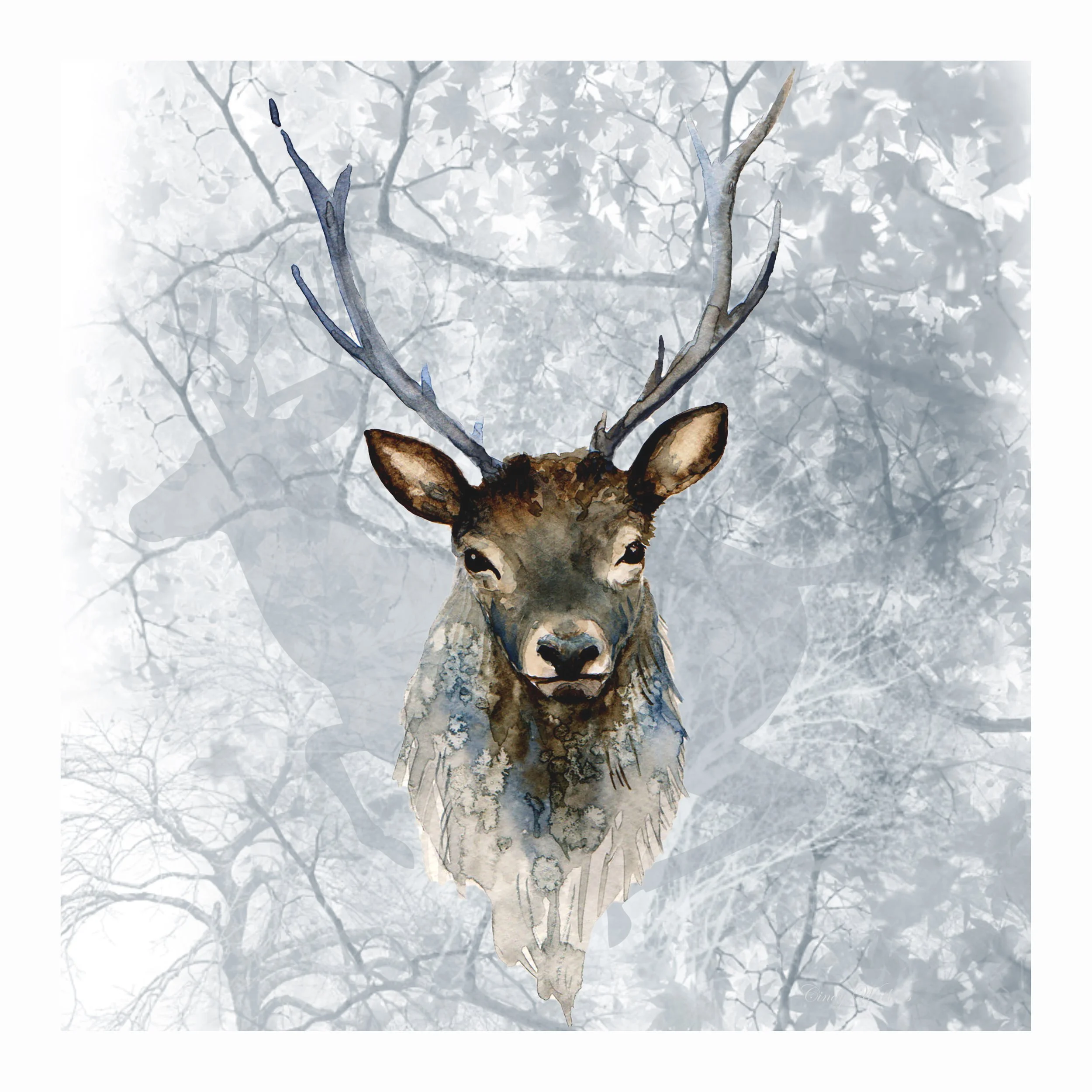 stag22.withborder.jpg