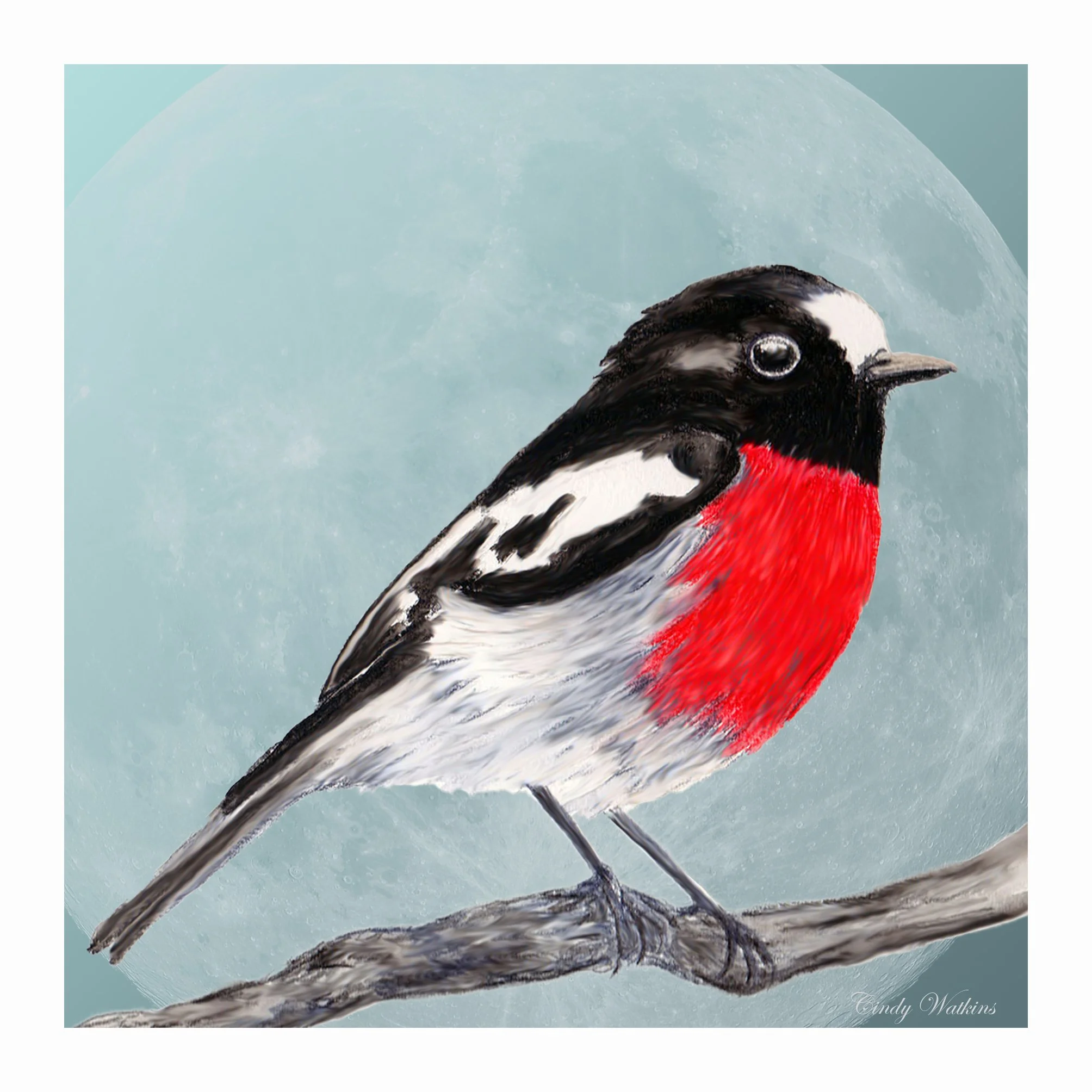 robin with moon back drop1.jpg