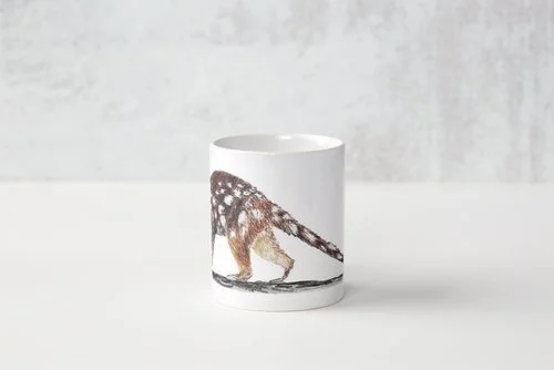 quoll3.jpg