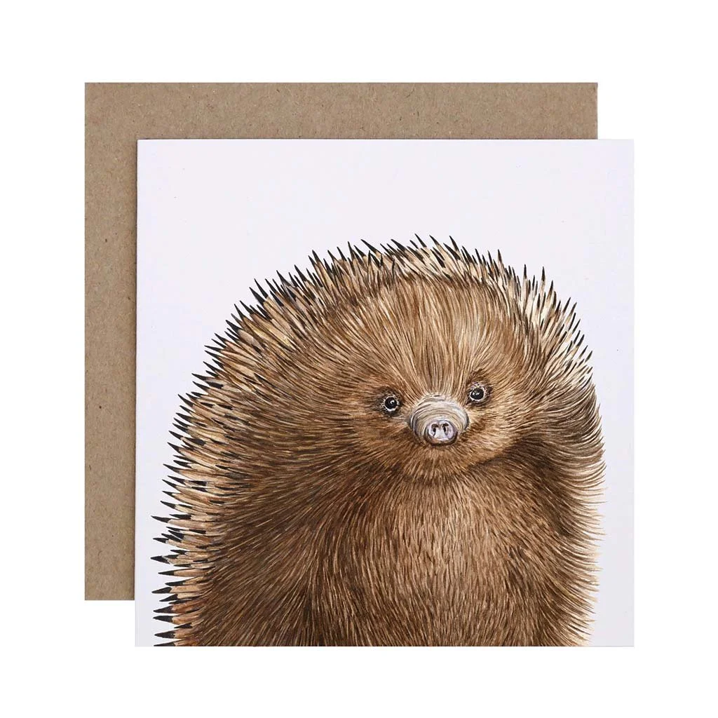 echidna-watercolour-artwork-greeting-card.jpg