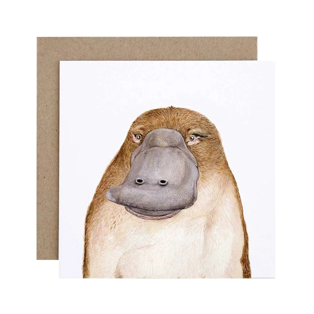platypus-watercolour-artwork-greeting-card.jpg