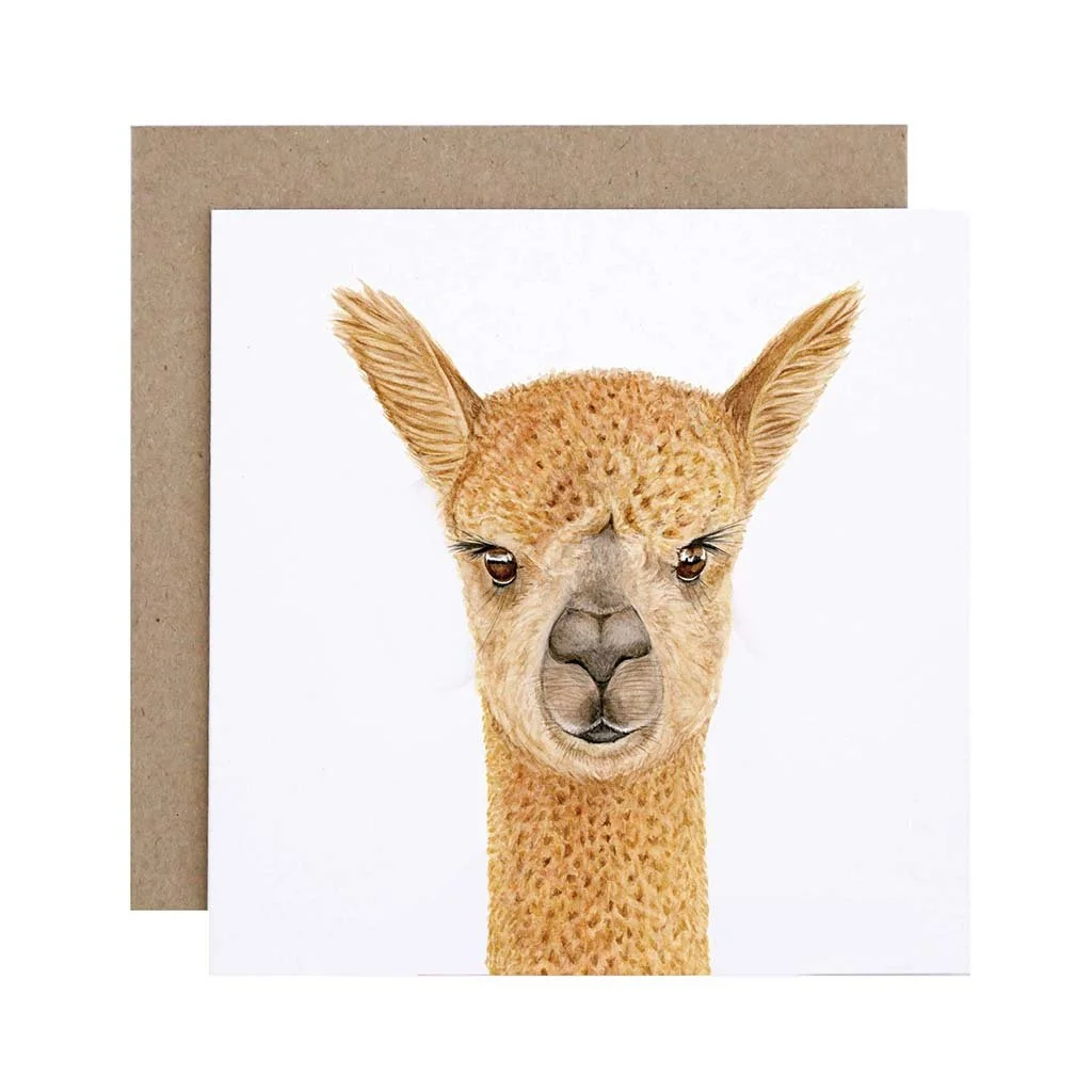 alpaca-watercolour-artwork-greeting-card.jpg