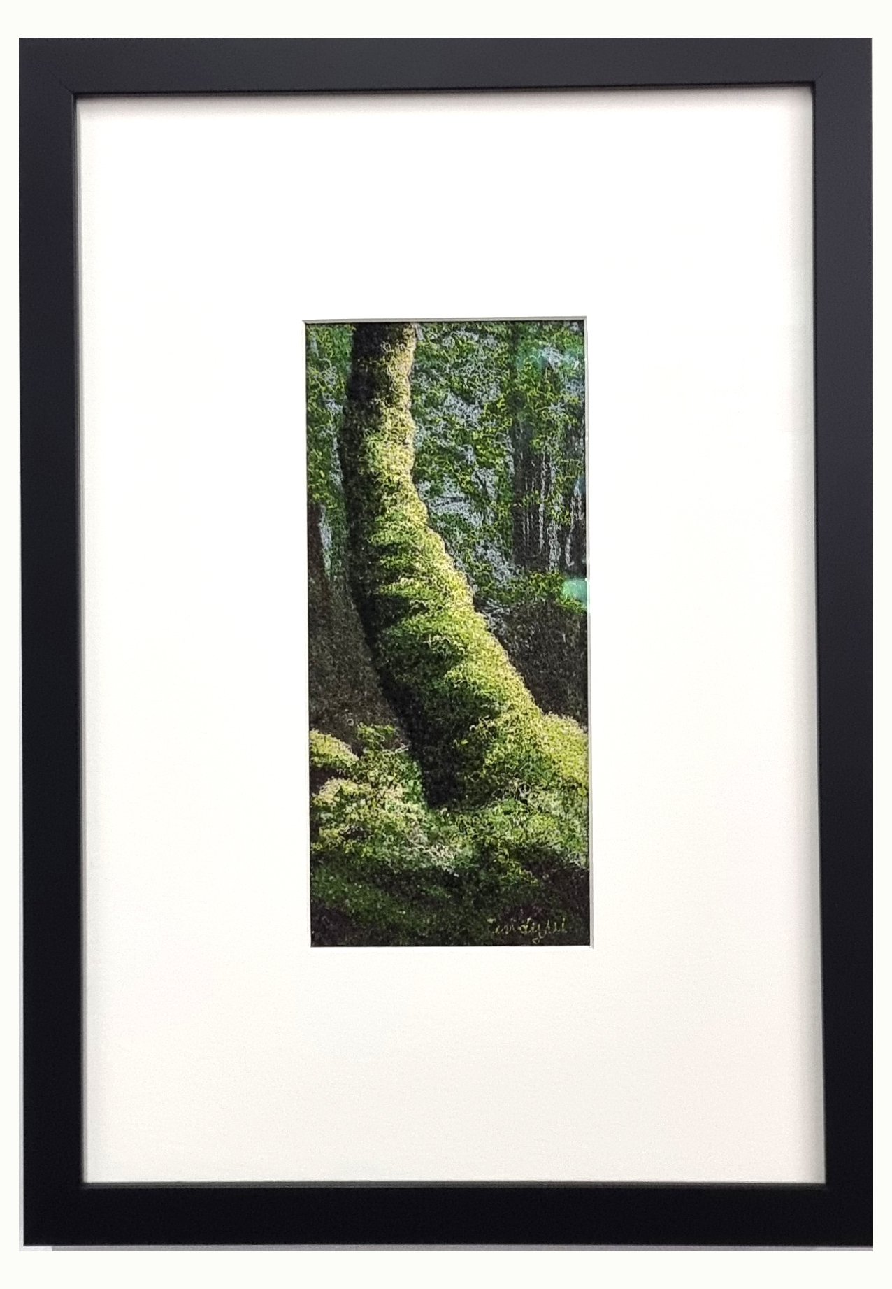 mossy.jpg