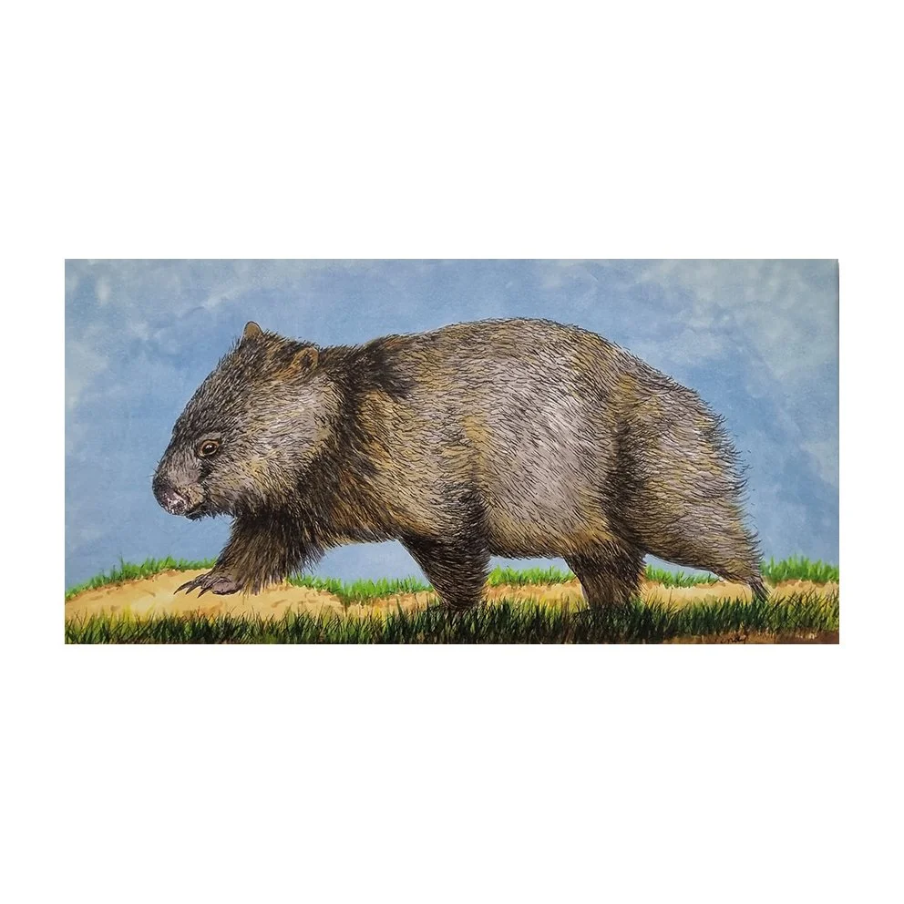 big wombat.jpg