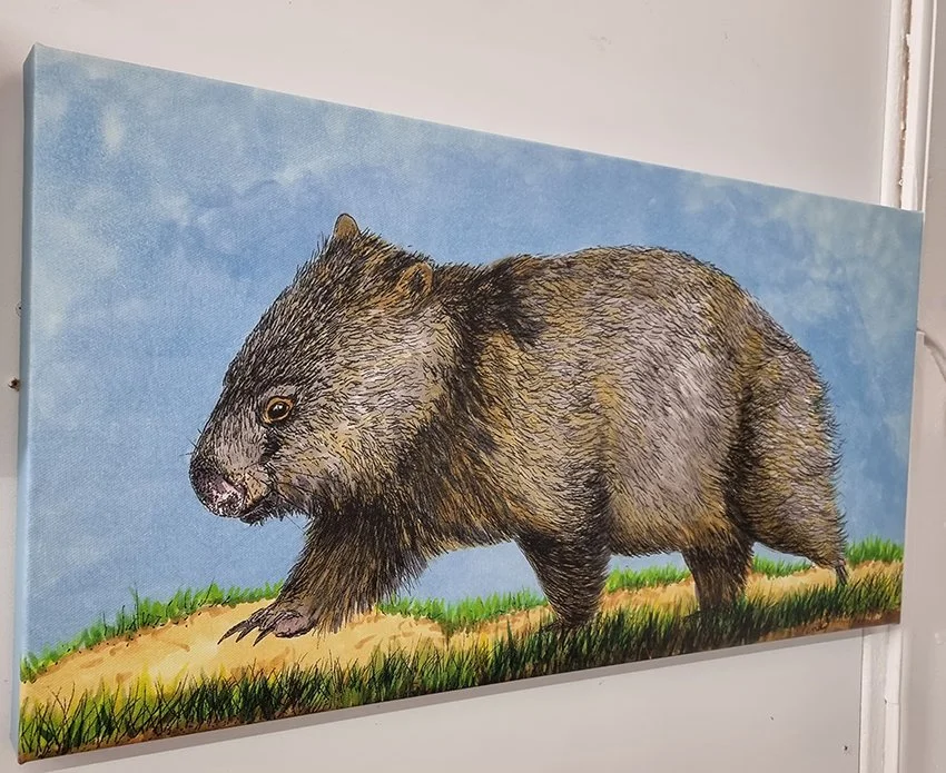 big wombat side.jpg