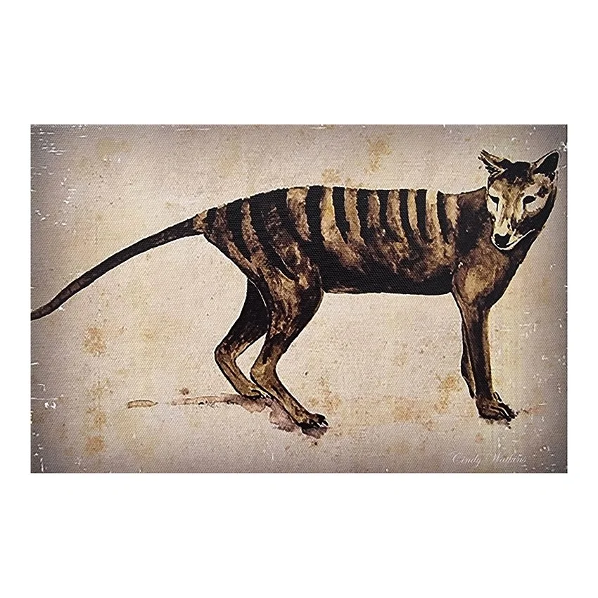 tiger.jpg