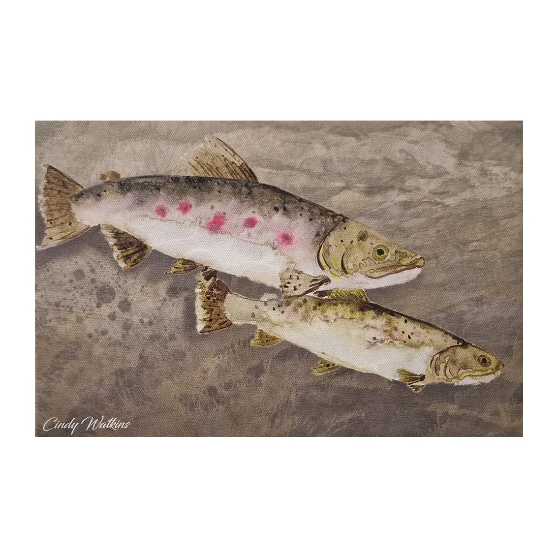 trout.jpg