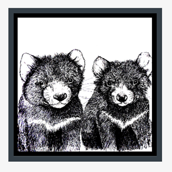 Two little Tasmanian Devils canvas print — Divine Objects