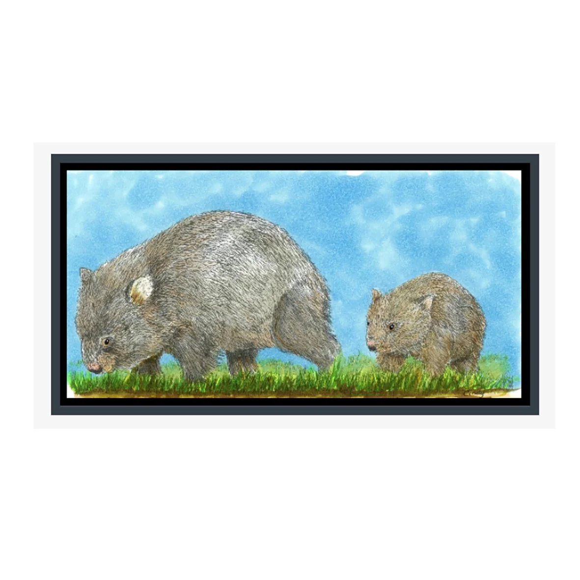 wombats.jpg