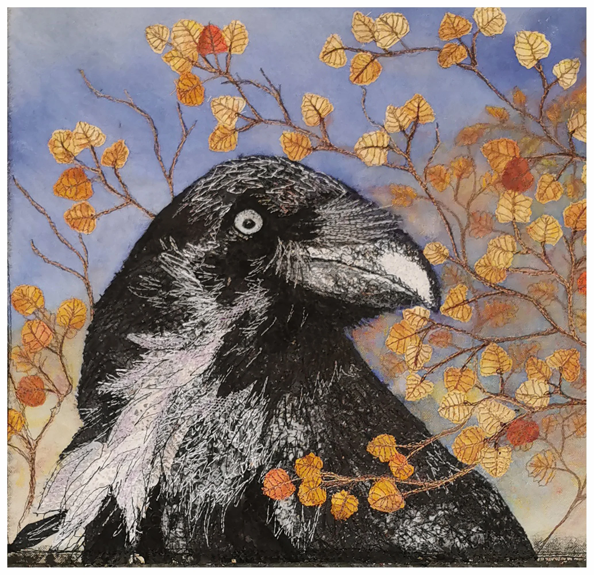 nothofagus raven.jpg