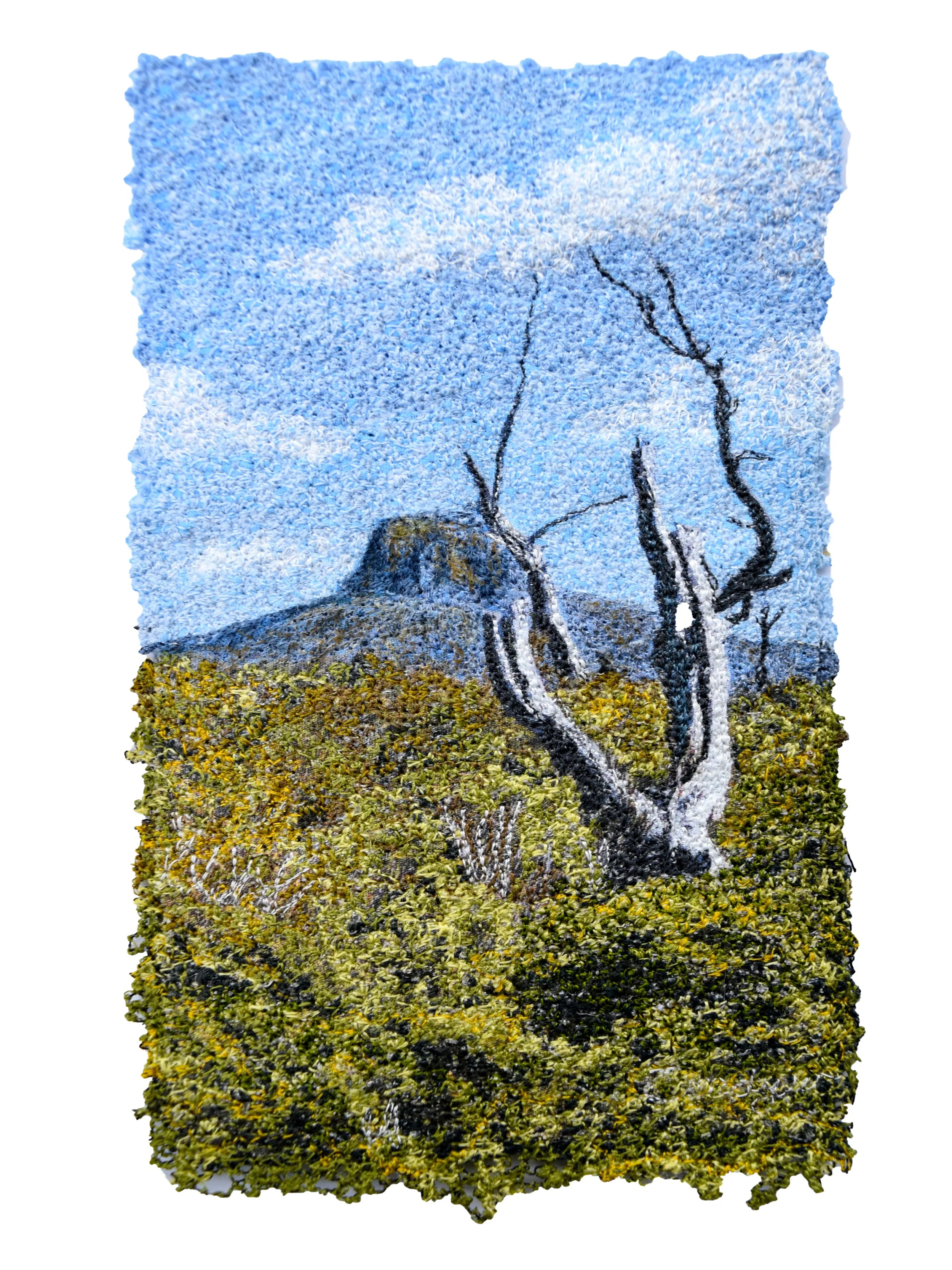 Barn Bluff Cradle Mountain by Cindy Watkins