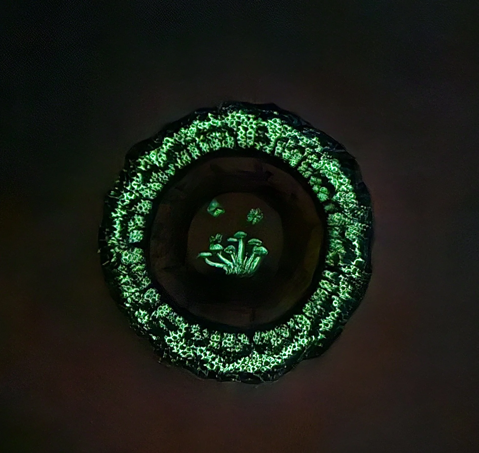 some of us glow in the dark dark.jpg