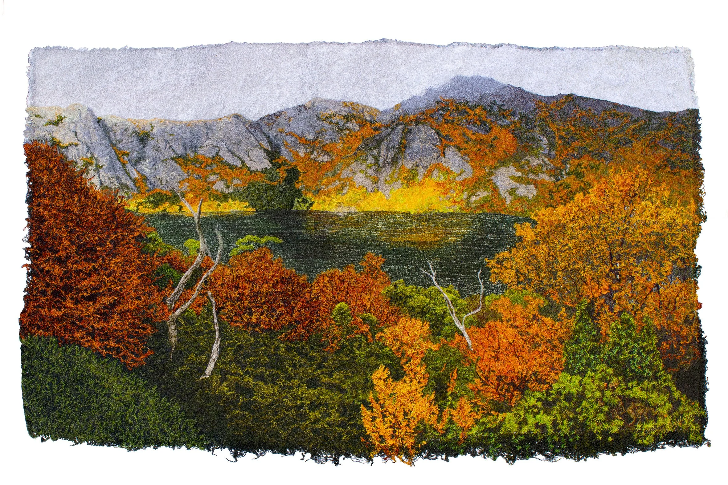 The Turning of the Fagus