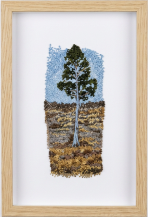 loan pine framed.png