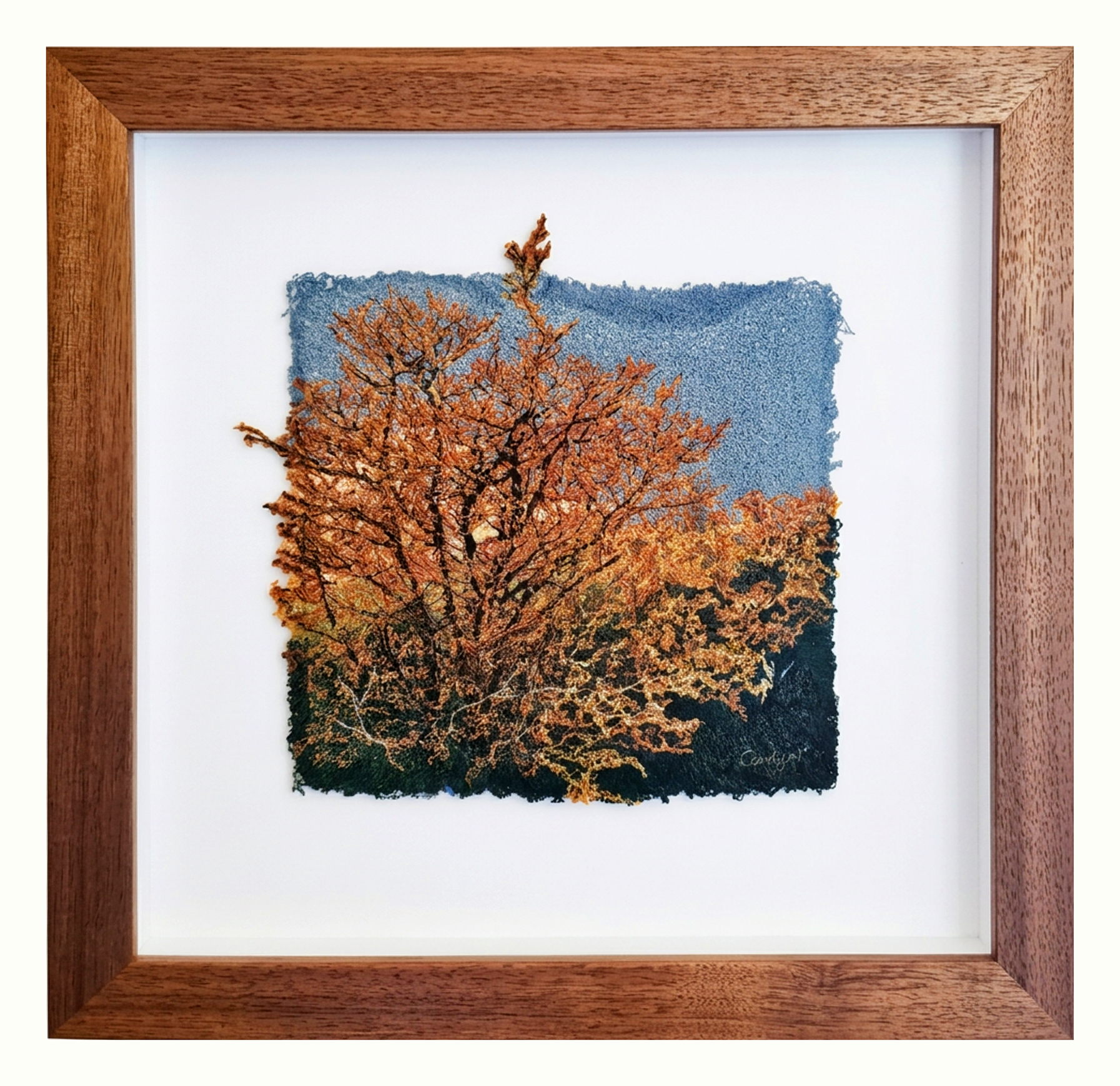 fagus with black wood frame sml.png