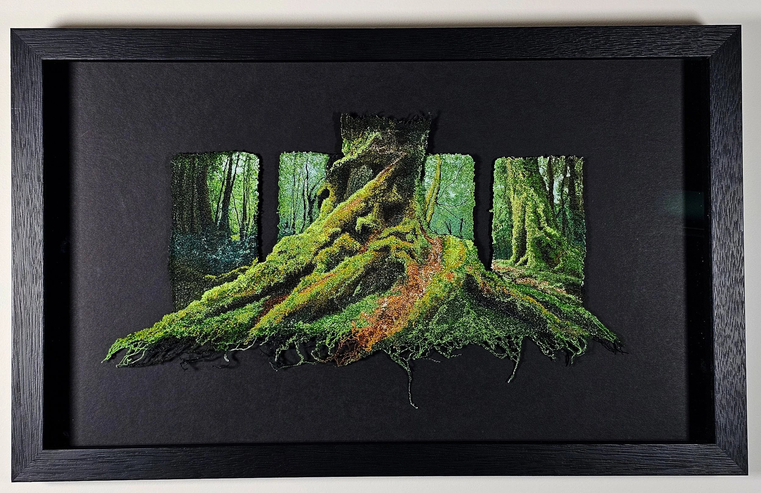 deep forest sent.jpg