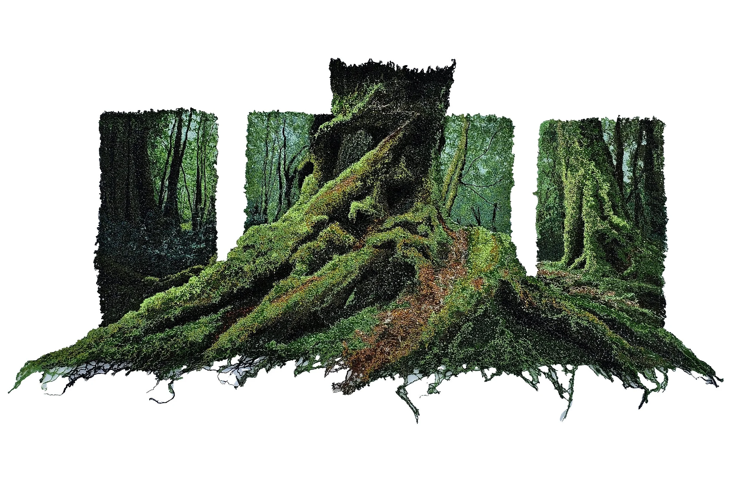 Deep Forest Sentinel