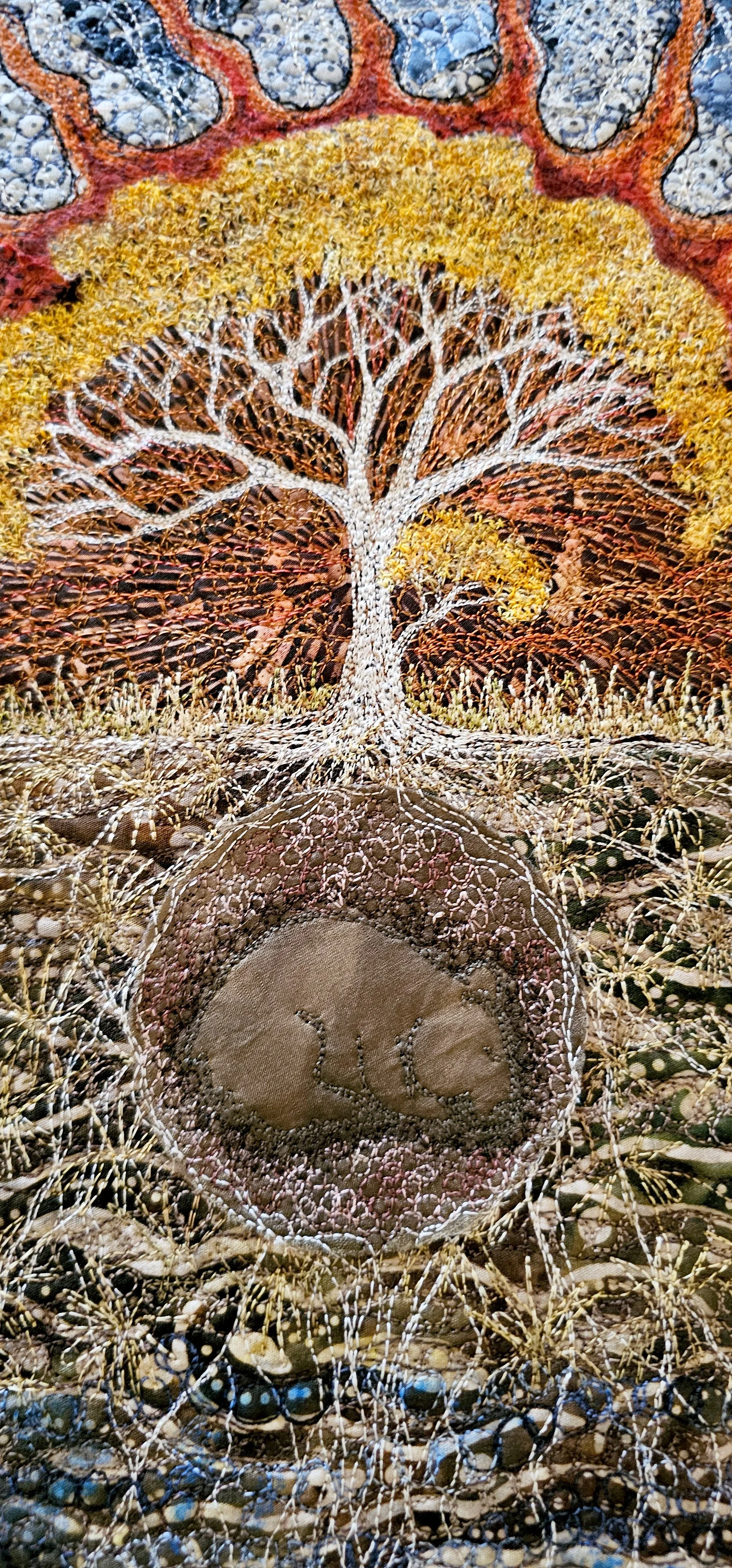 wombat under tree close.jpg