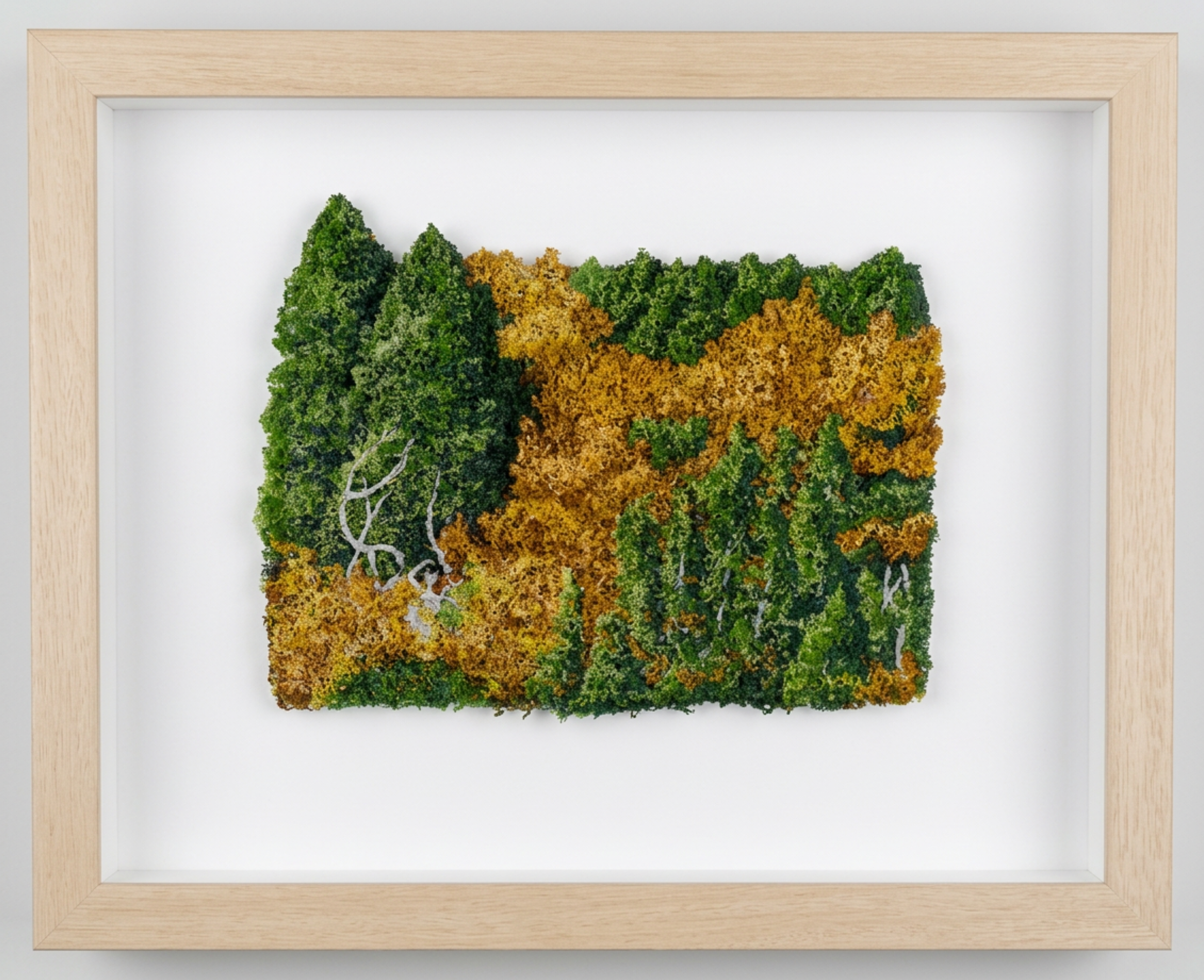 the colour of fagus framed sml.png