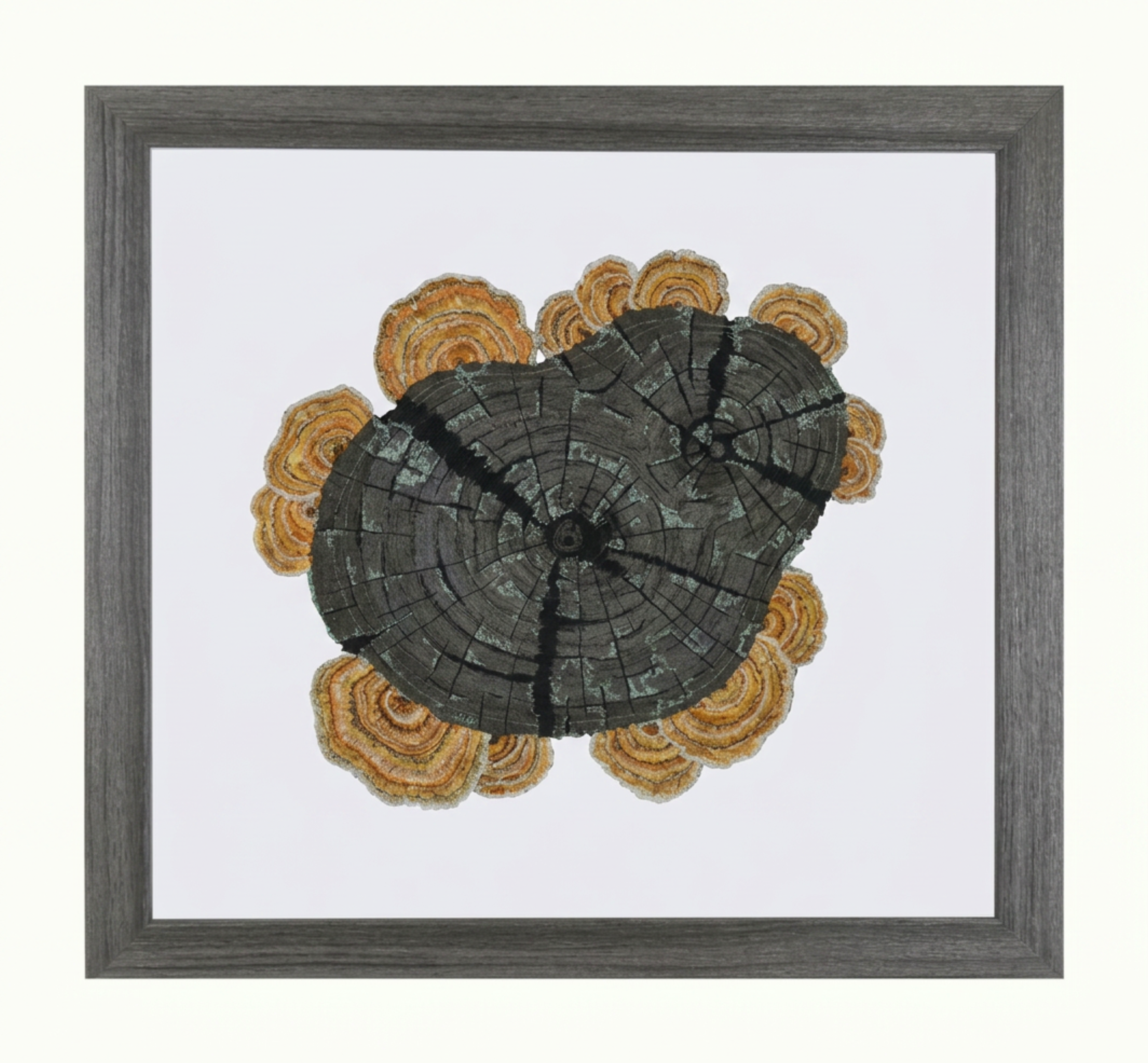 fungi and stump 2 framed.png