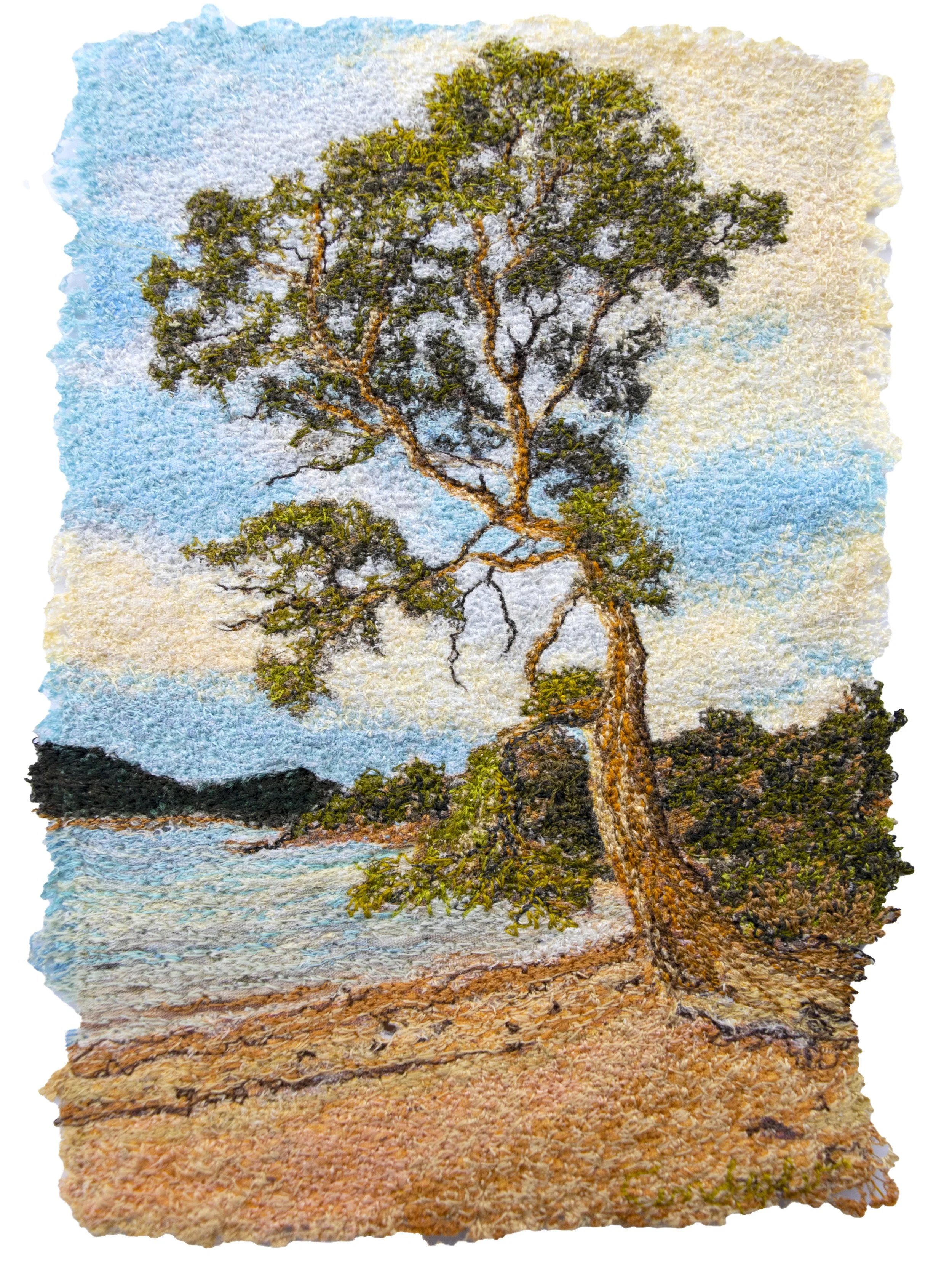 beach tree.jpg