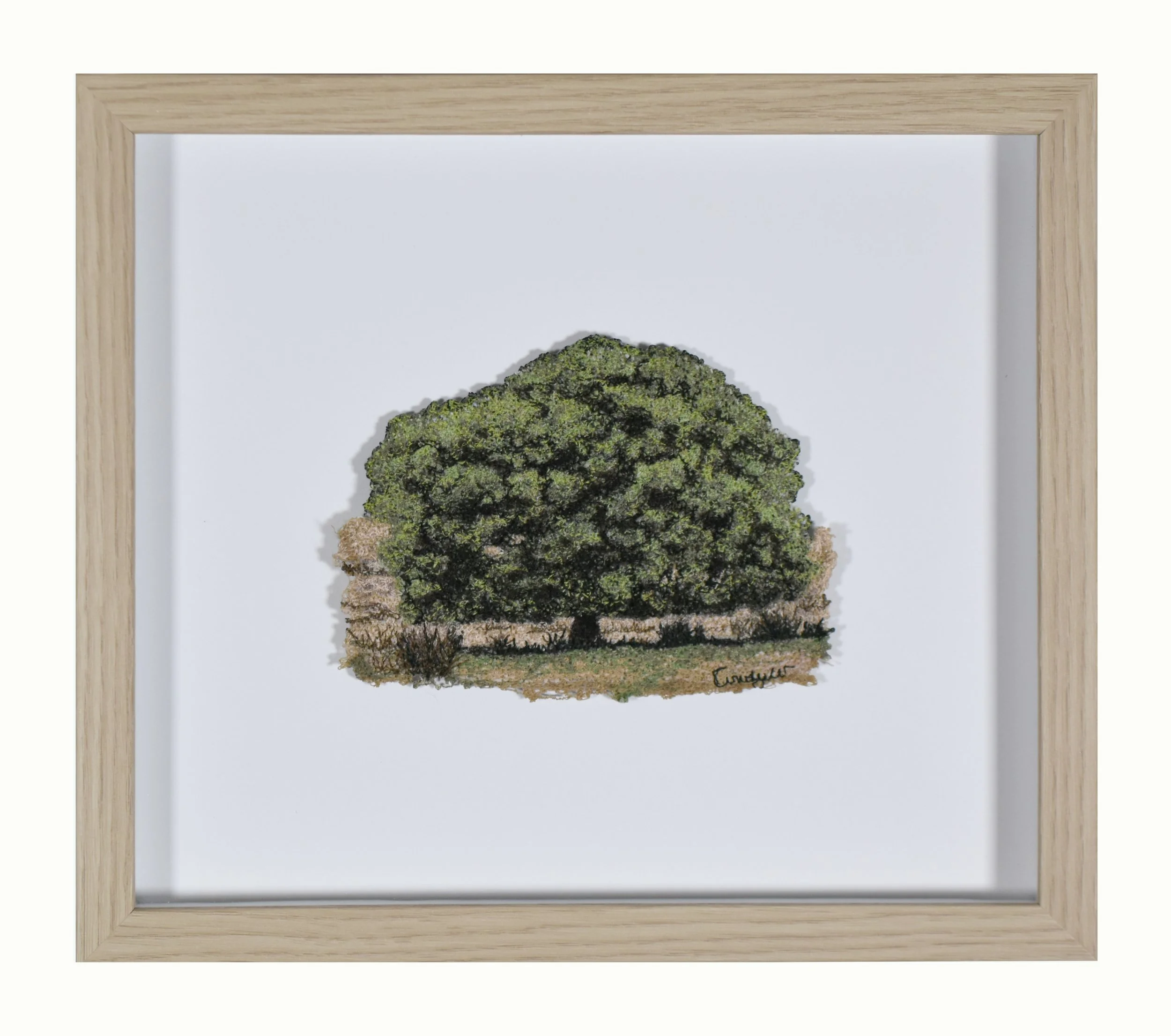 acacia park framed.jpg