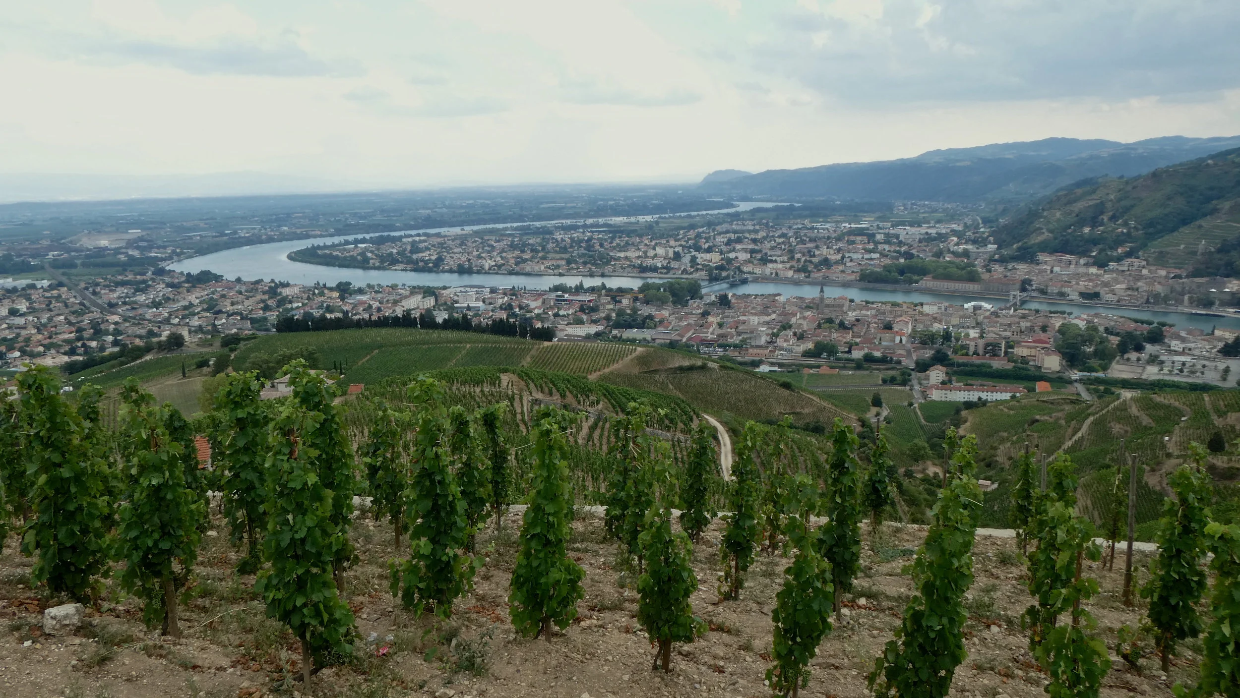 Image:&nbsp;David Nash -&nbsp;  The view from the top of Hermitage Hill, overlooking Tain L'Hermitage below.