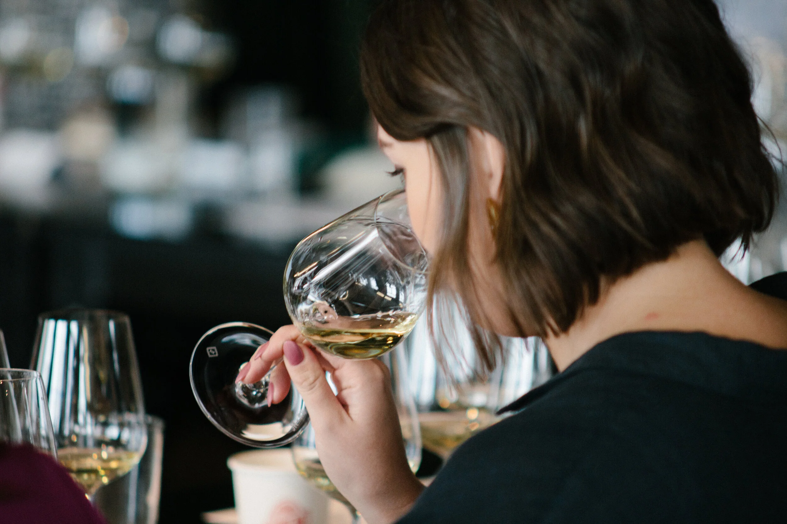 Wine Atlas Launch Akl-90.jpg