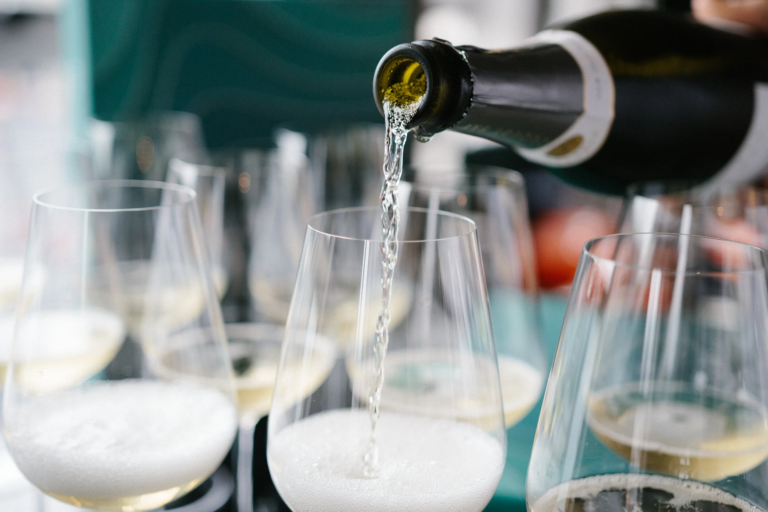 Wine Atlas Launch Akl-2.jpg