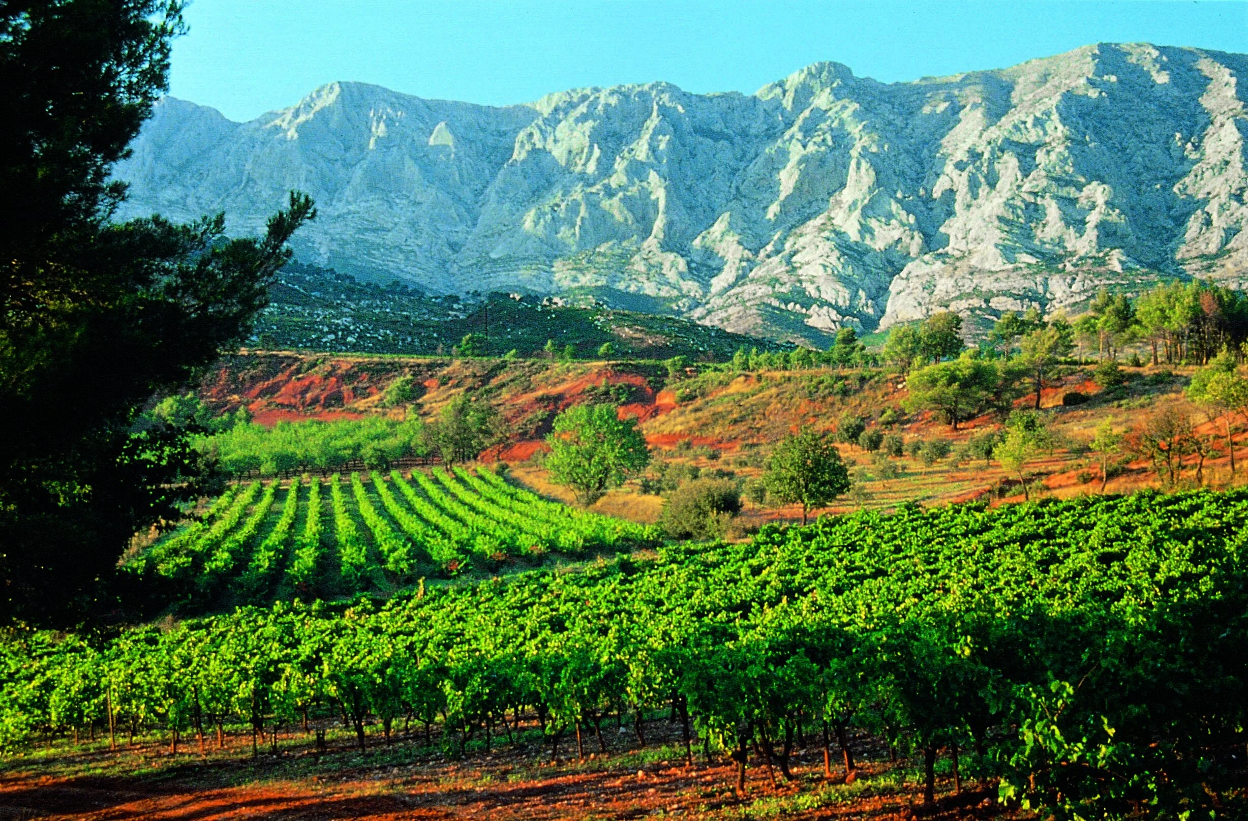 TV-0309 francoismillo.com-CIVP.jpg