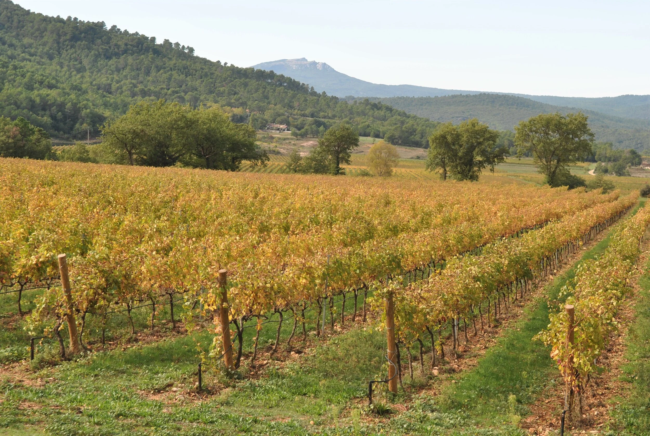 DSC_0846 ©Cédric SKRZYPCZAK-CIVP.jpg