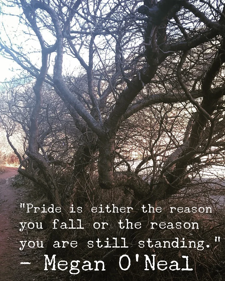 Pride 